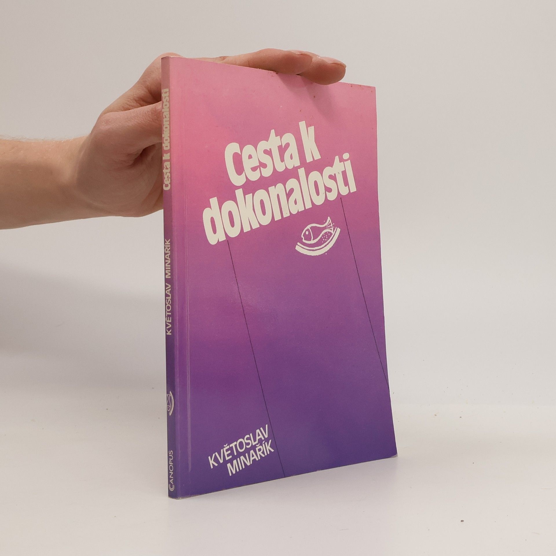 Květoslav Minařík Cesta k dokonalosti