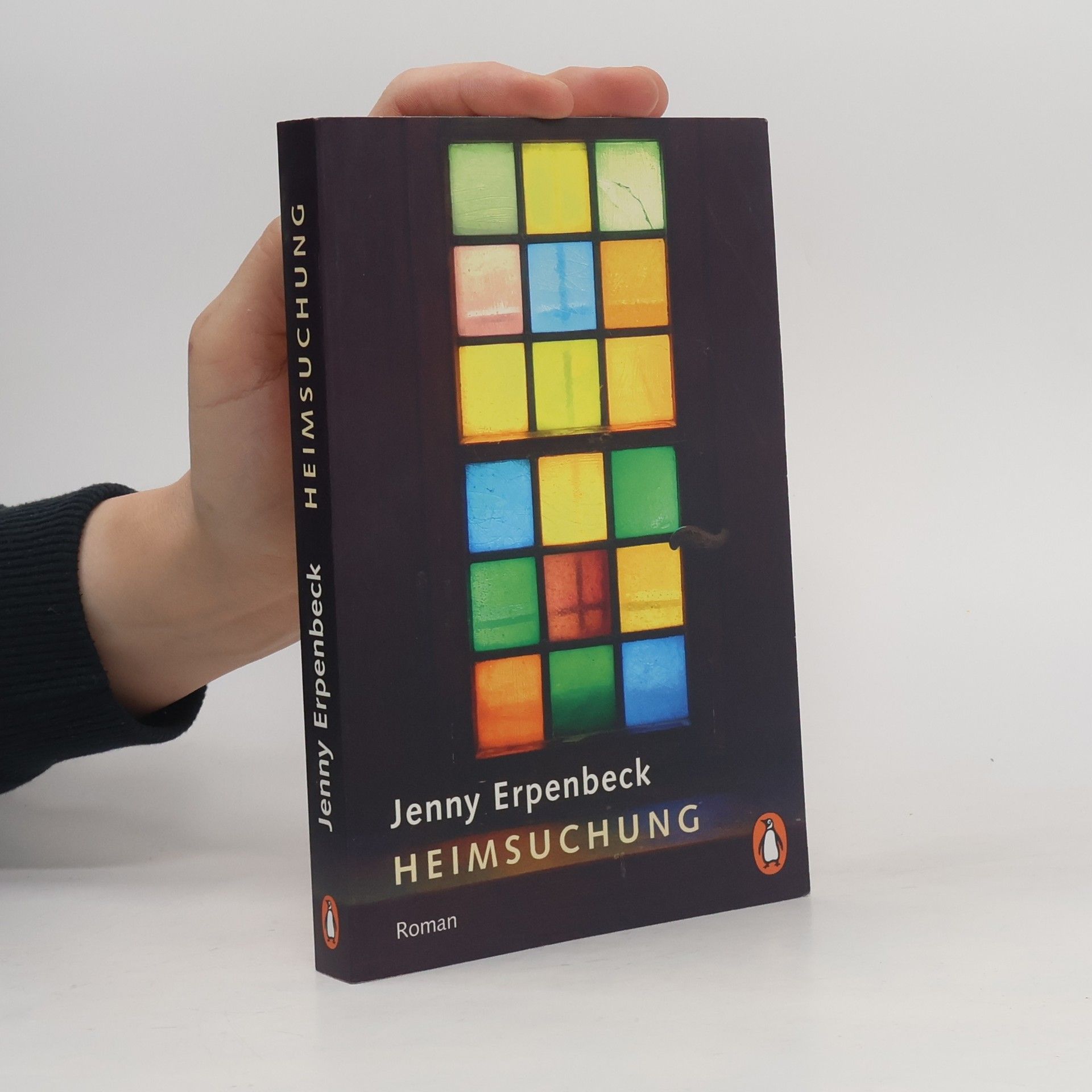 Jenny Erpenbeck Heimsuchung