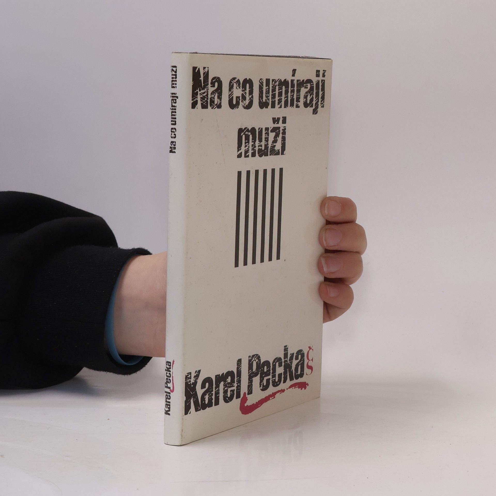 Karel Pecka Na co umírají muži