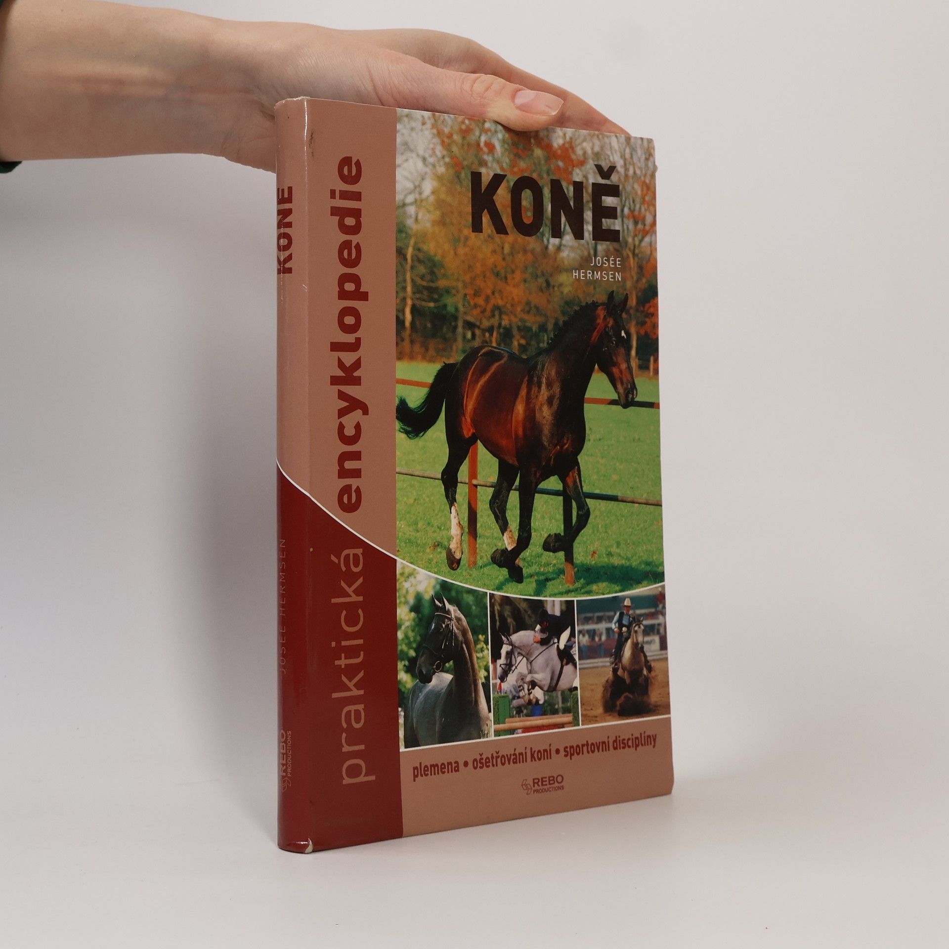 Koně - praktická encyklopedie