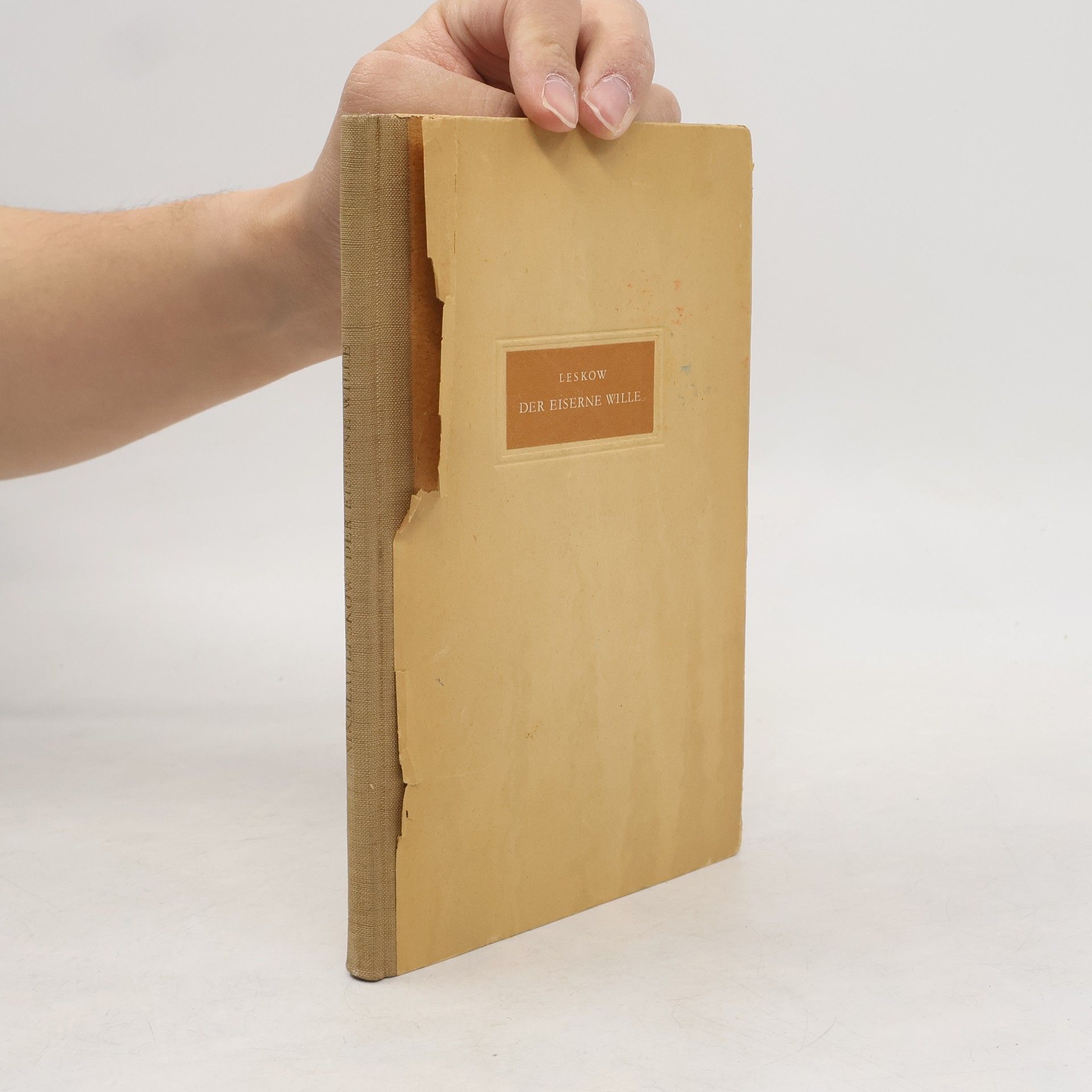 Nikolaj Szemenovics Leszkov Der eiserne Wille