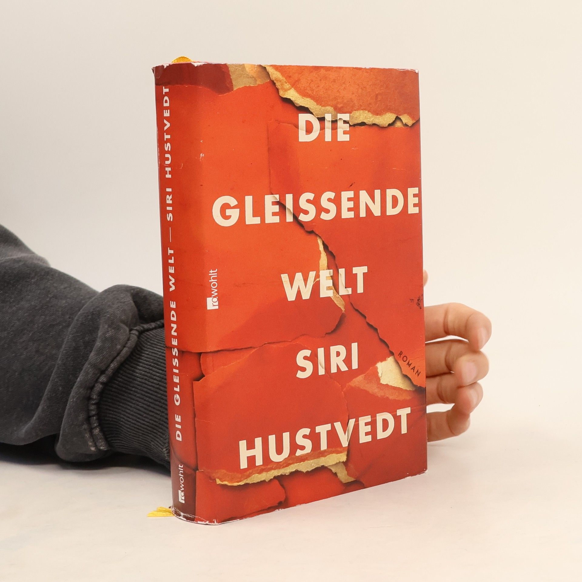 Siri Hustvedt Die gleissende Welt