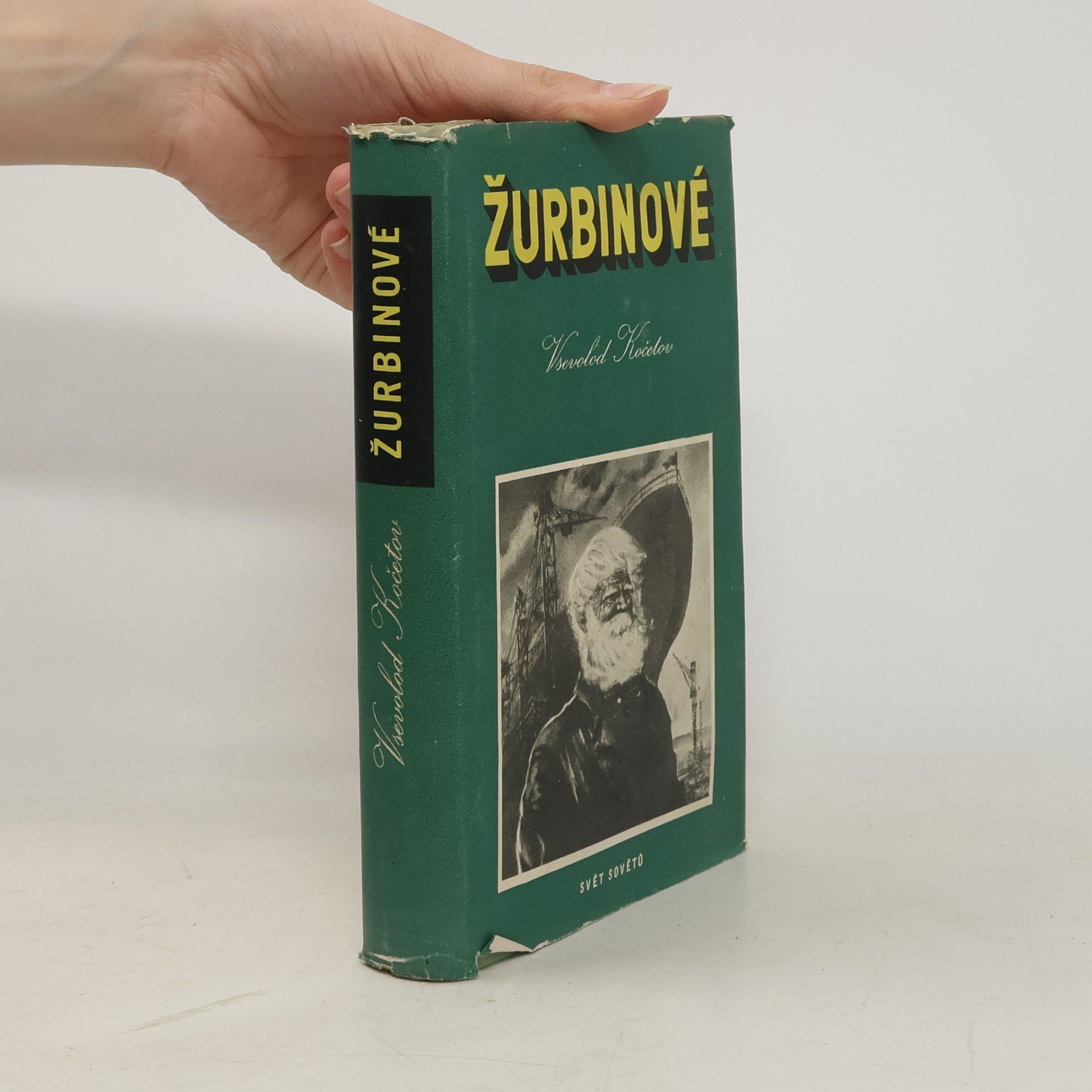 Vsevolod Kočetov Žurbinové