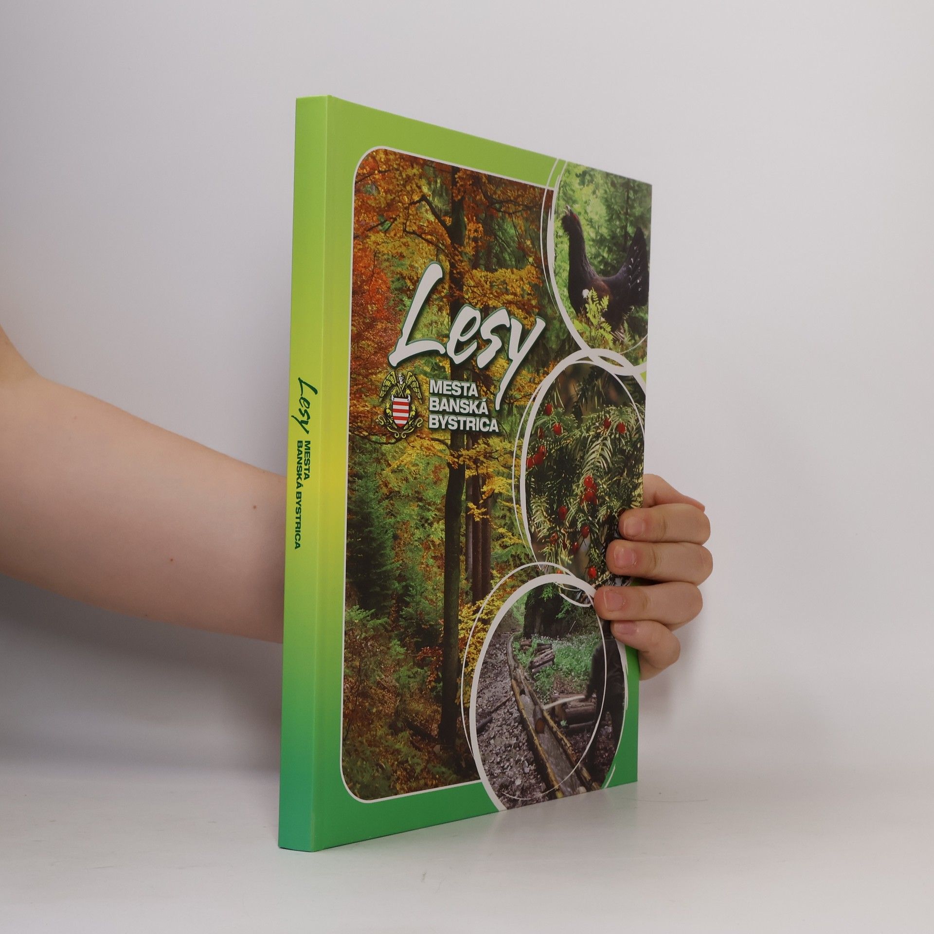 Fedor Mikovič Lesy mesta Banská Bystrica