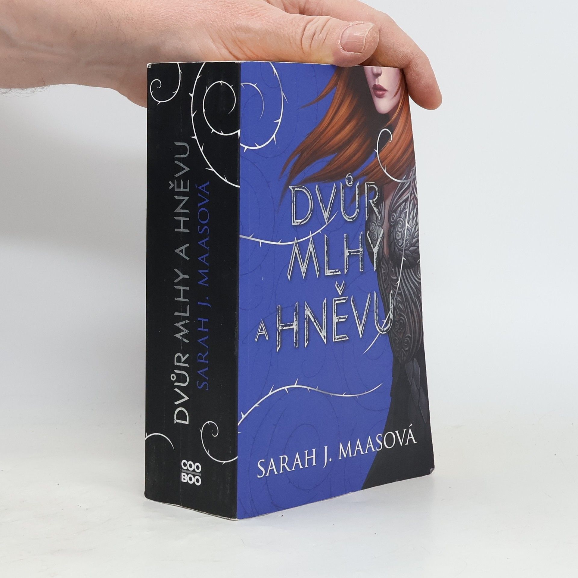 Sarah J. Maas Dvůr mlhy a hněvu