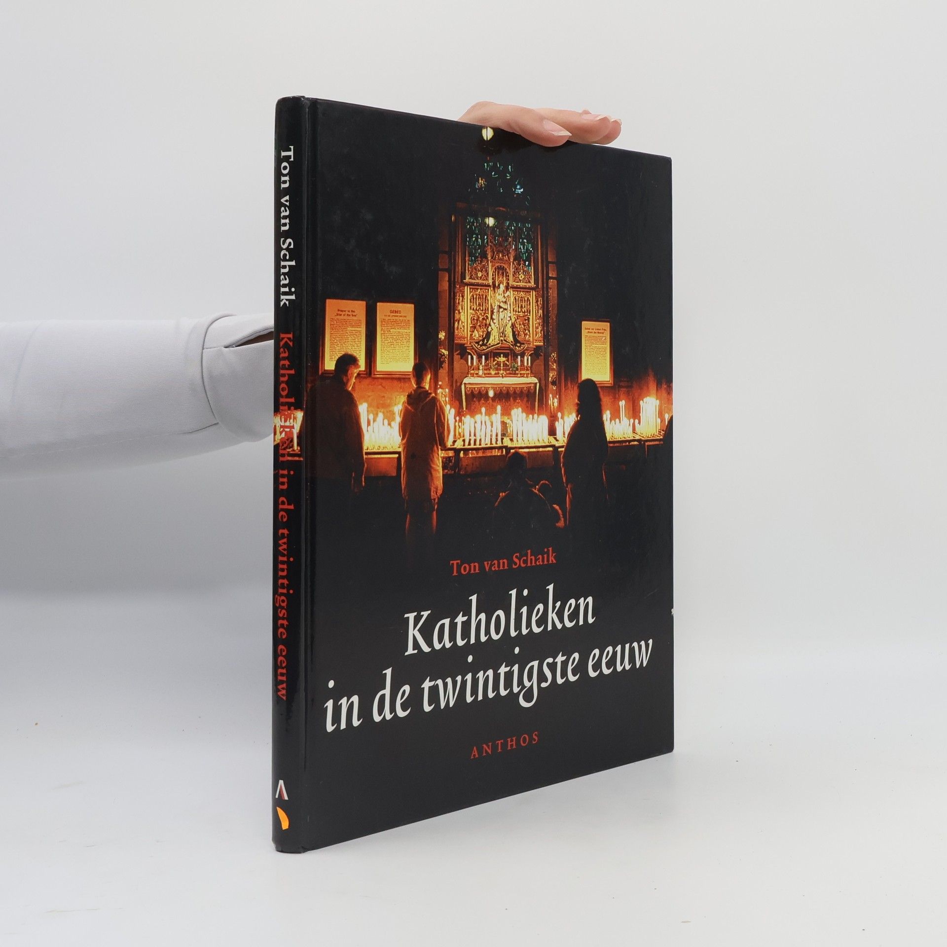 Ton van Schaik Katholieken in de twintigste eeuw