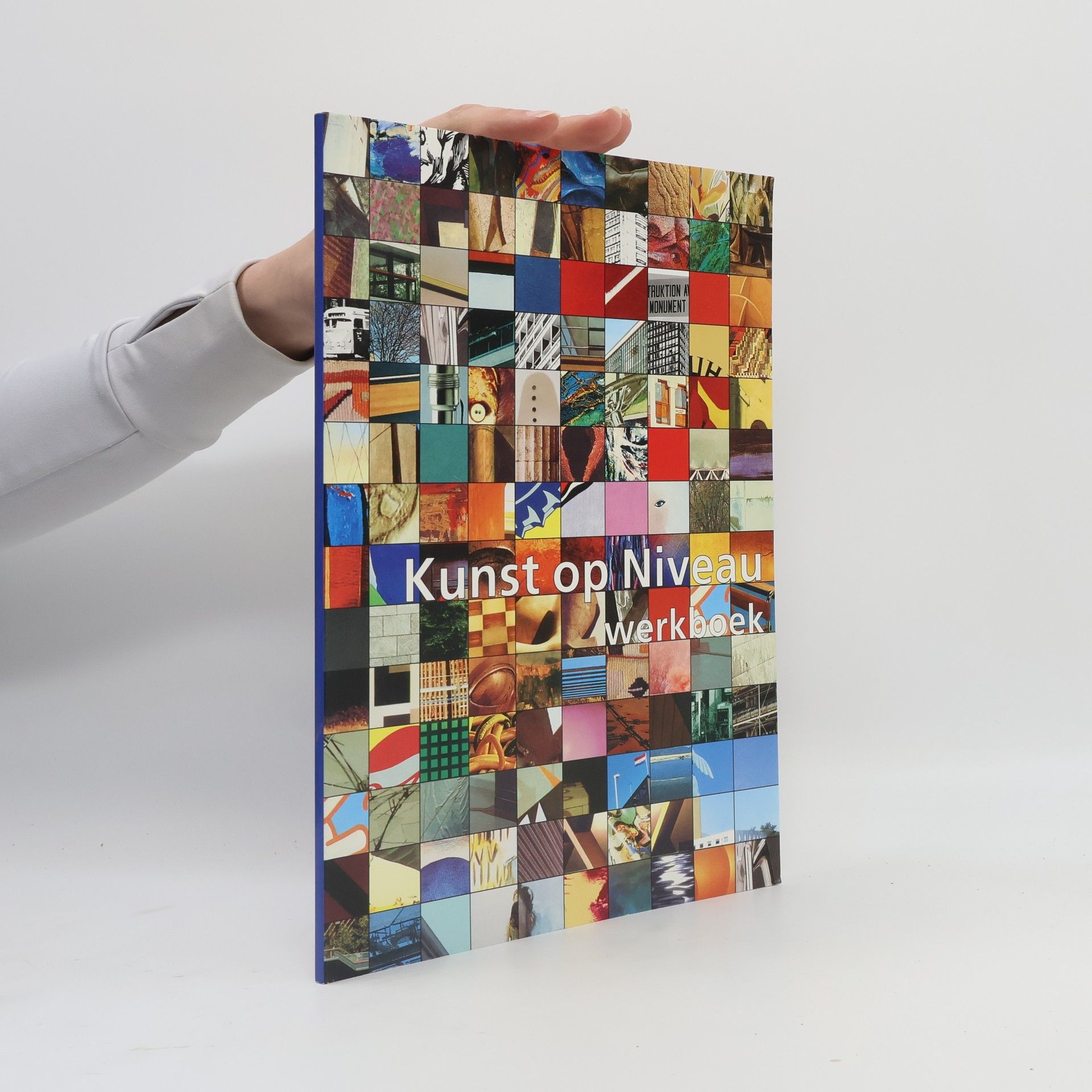 Piet den Hertog Kunst op niveau werkboek