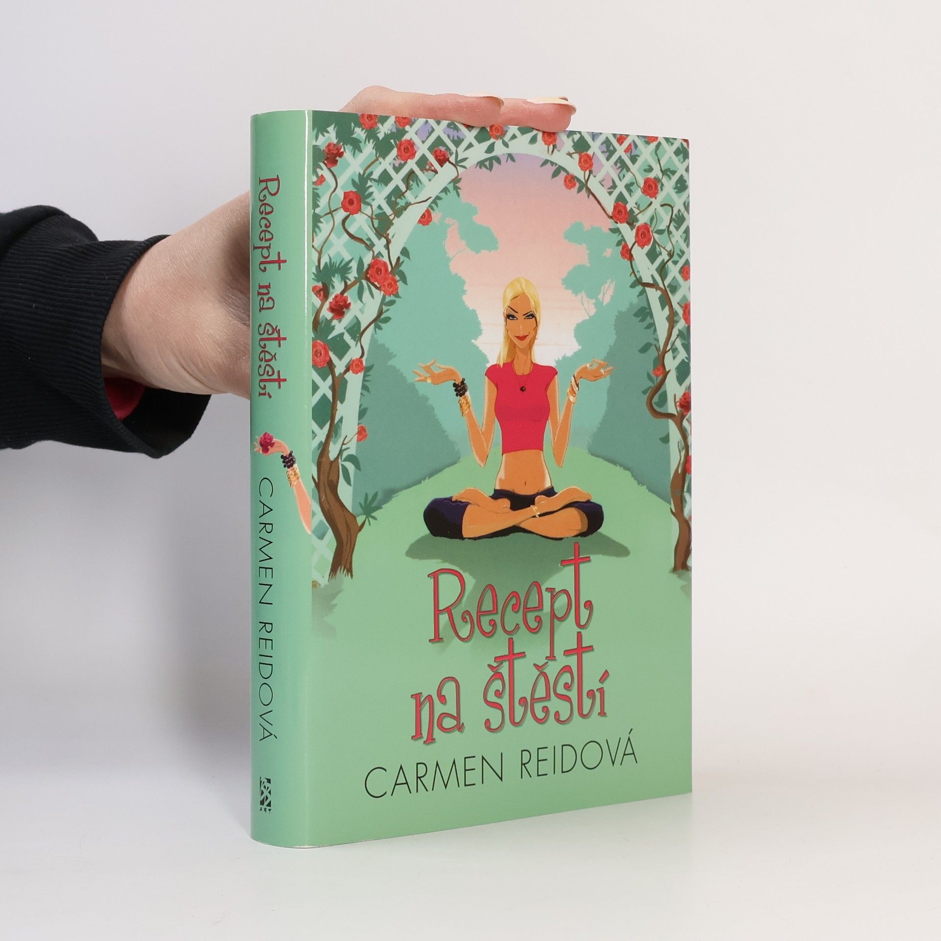 Carmen Reid Recept na štěstí