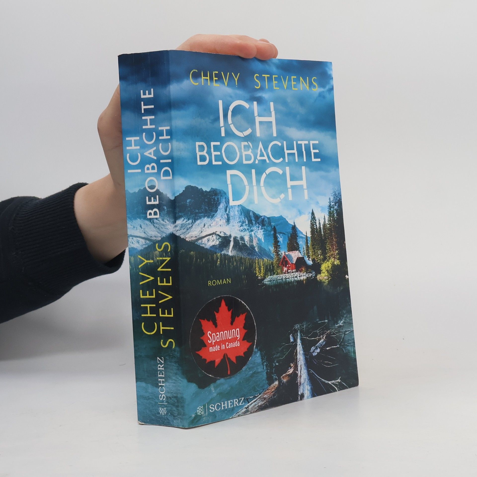 Chevy Stevens Ich beobachte dich