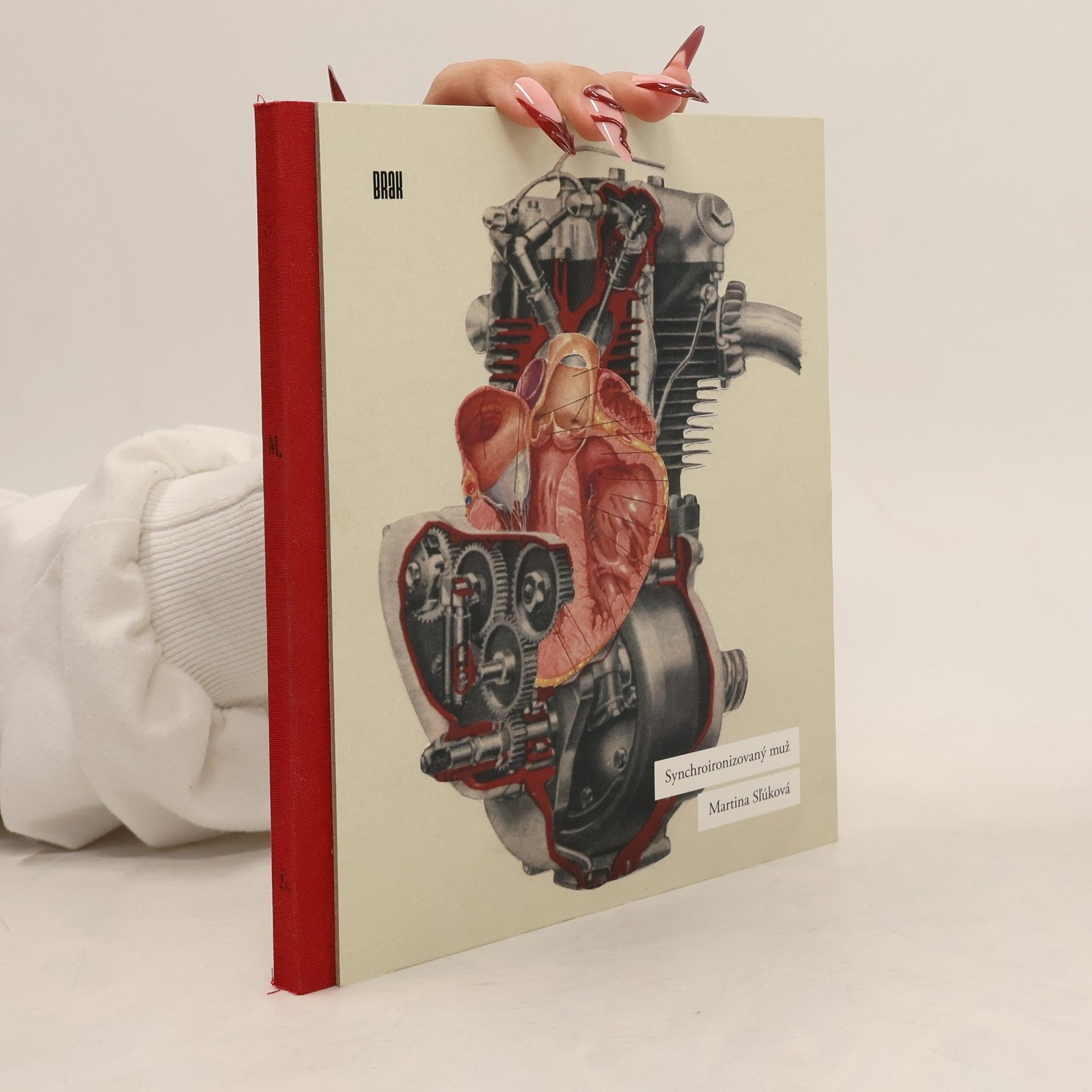 Martina Slúková Synchroironizovaný muž