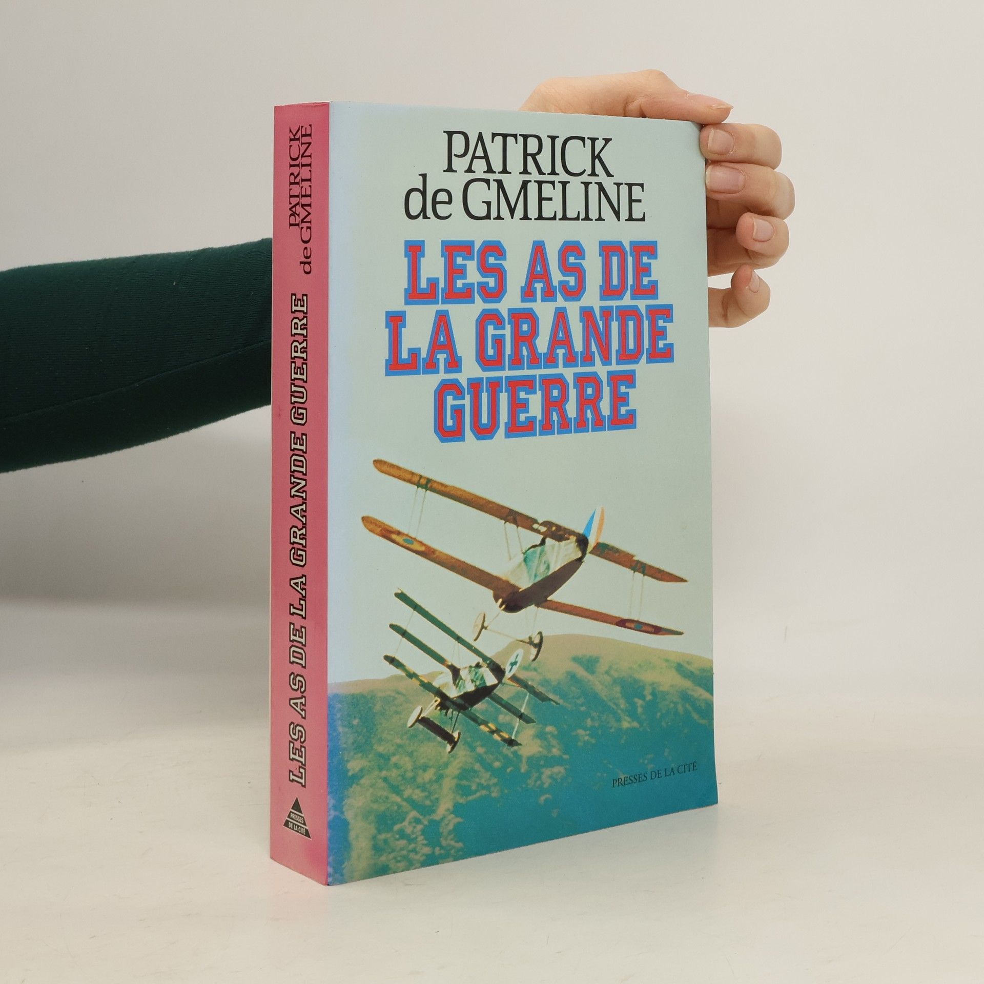 Patrick de Gmeline Les as de la Grande Guerre