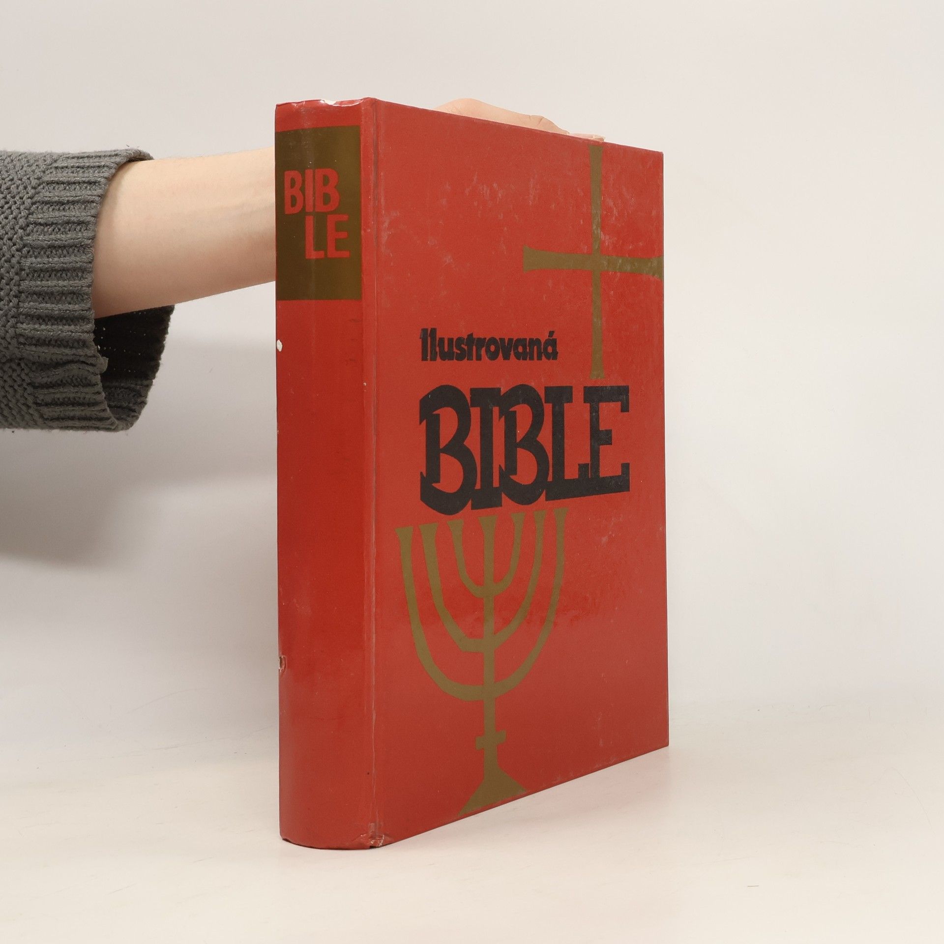 Samuel Terrien Ilustrovaná Bible pro mládež