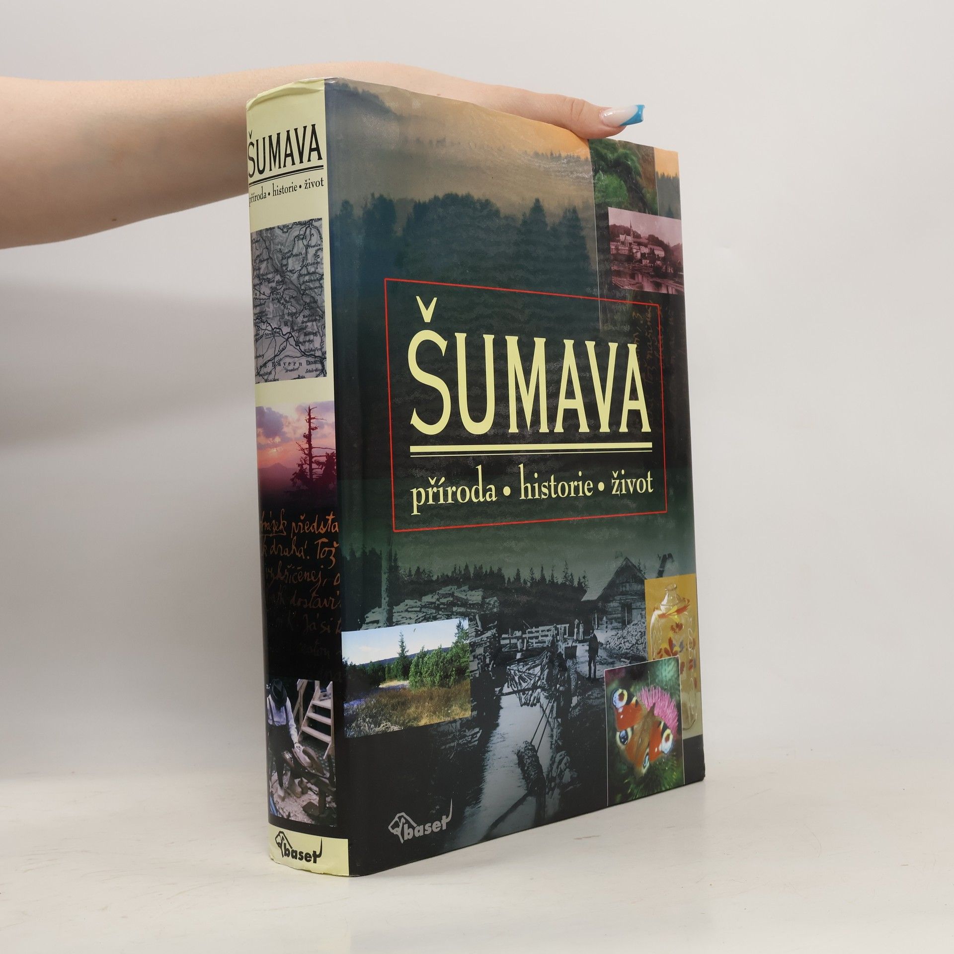 Autorenkollektiv Šumava. Příroda, historie, život