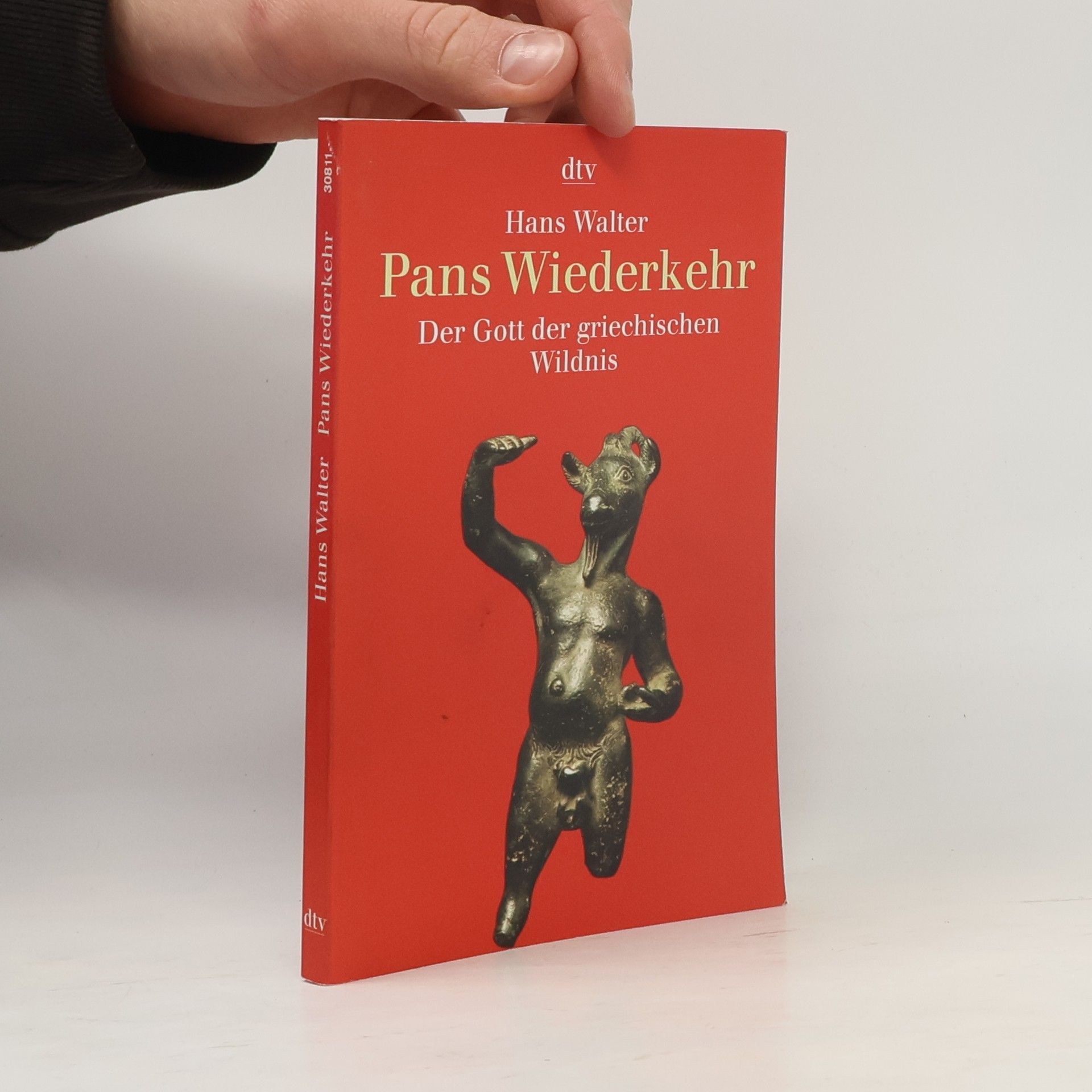 Hans Walter Pans Wiederkehr