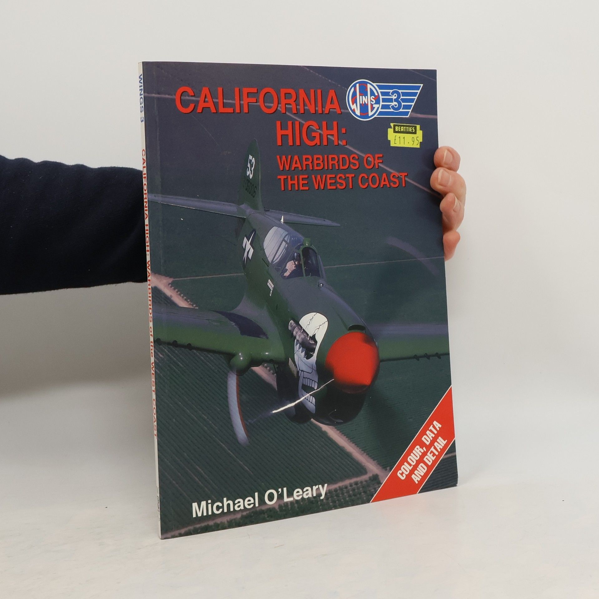 Michael O'Leary Wings - 3: California High