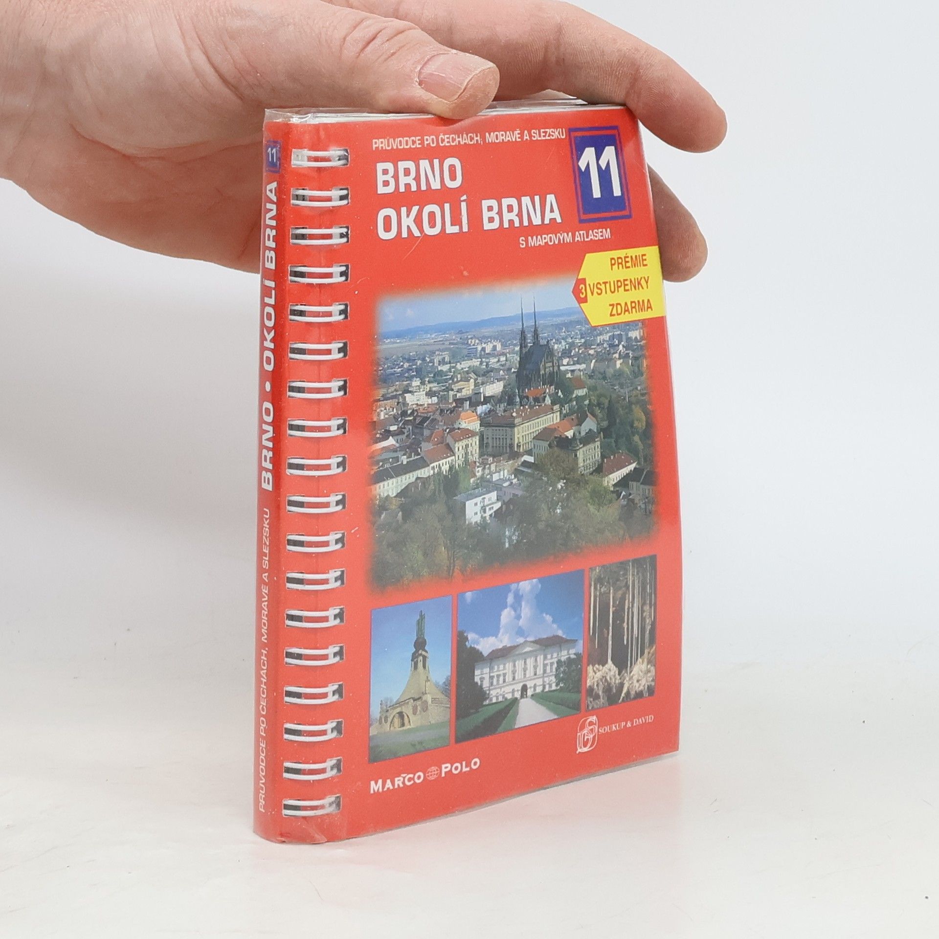 P. David Brno, okolí Brna