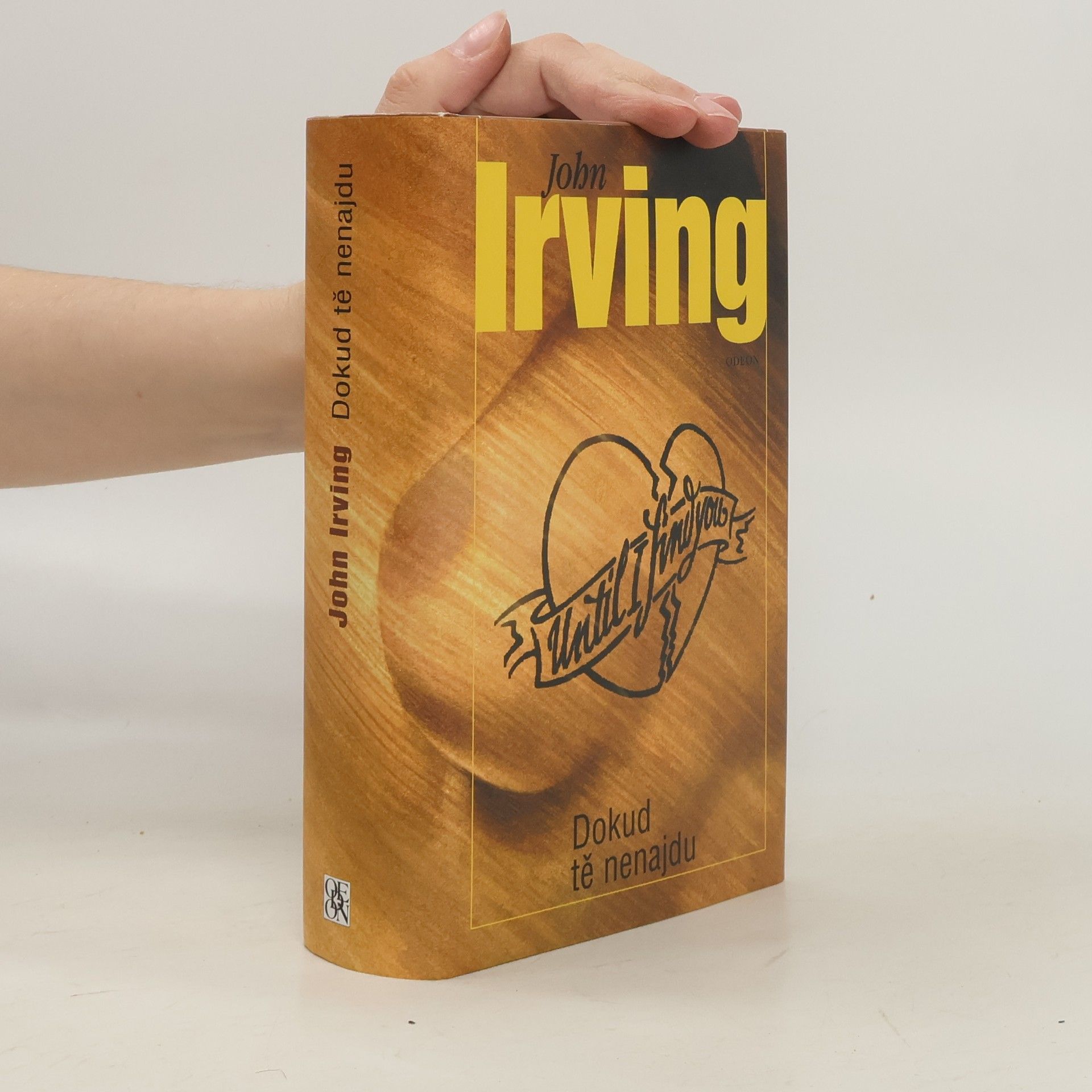 John Irving Dokud tě nenajdu