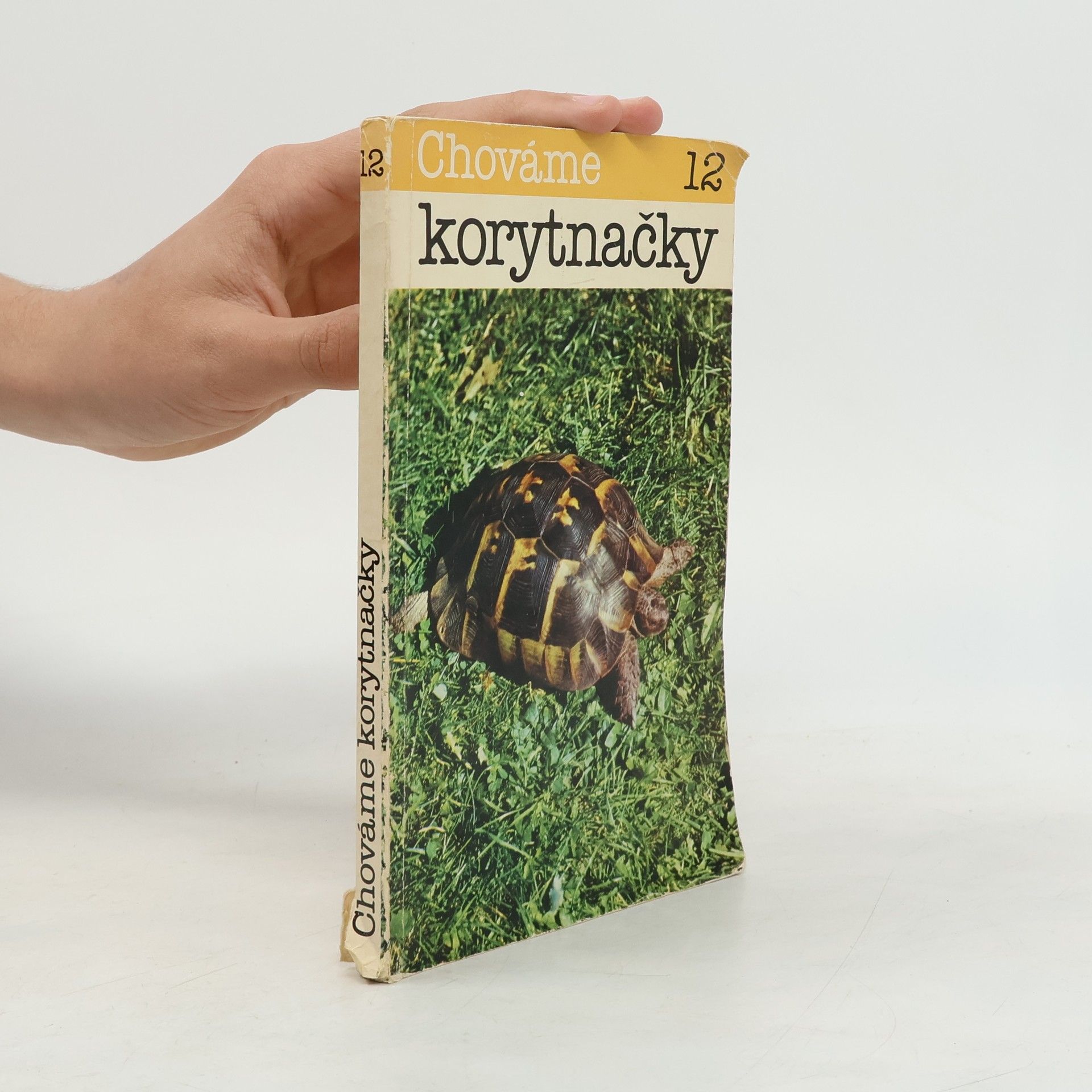 Fridrich Szalay Chováme korytnačky