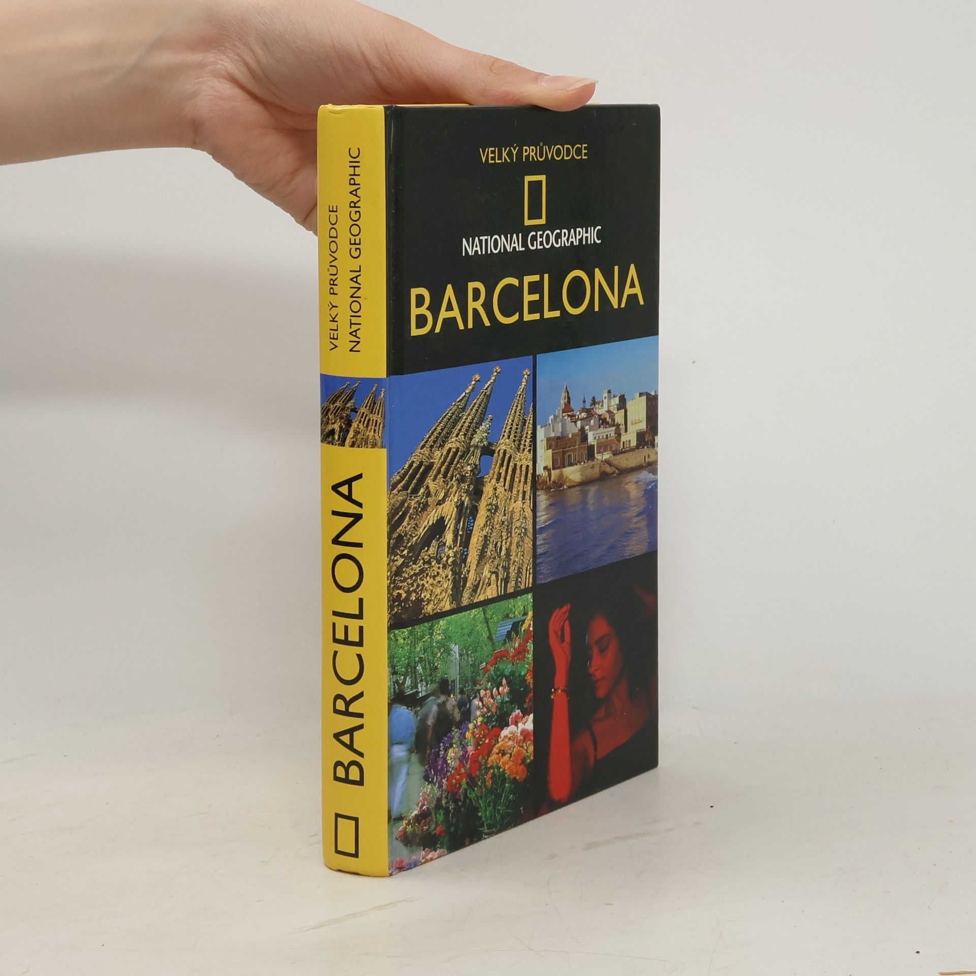 Damien Simonis Barcelona