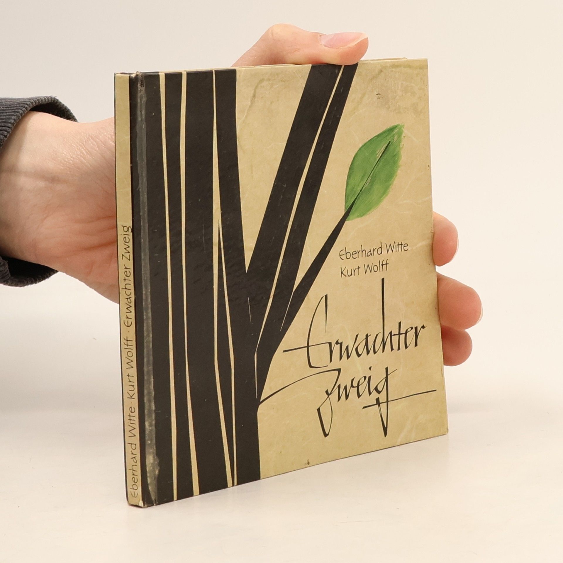 Eberhard Witte Erwachter Zweig