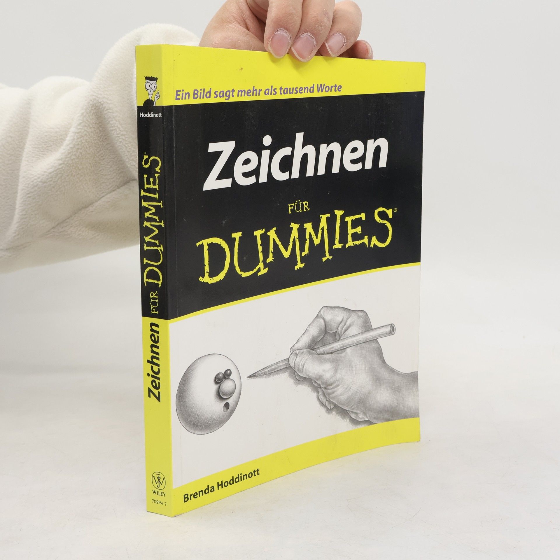 Brenda Hoddinott Zeichnen Für Dummies