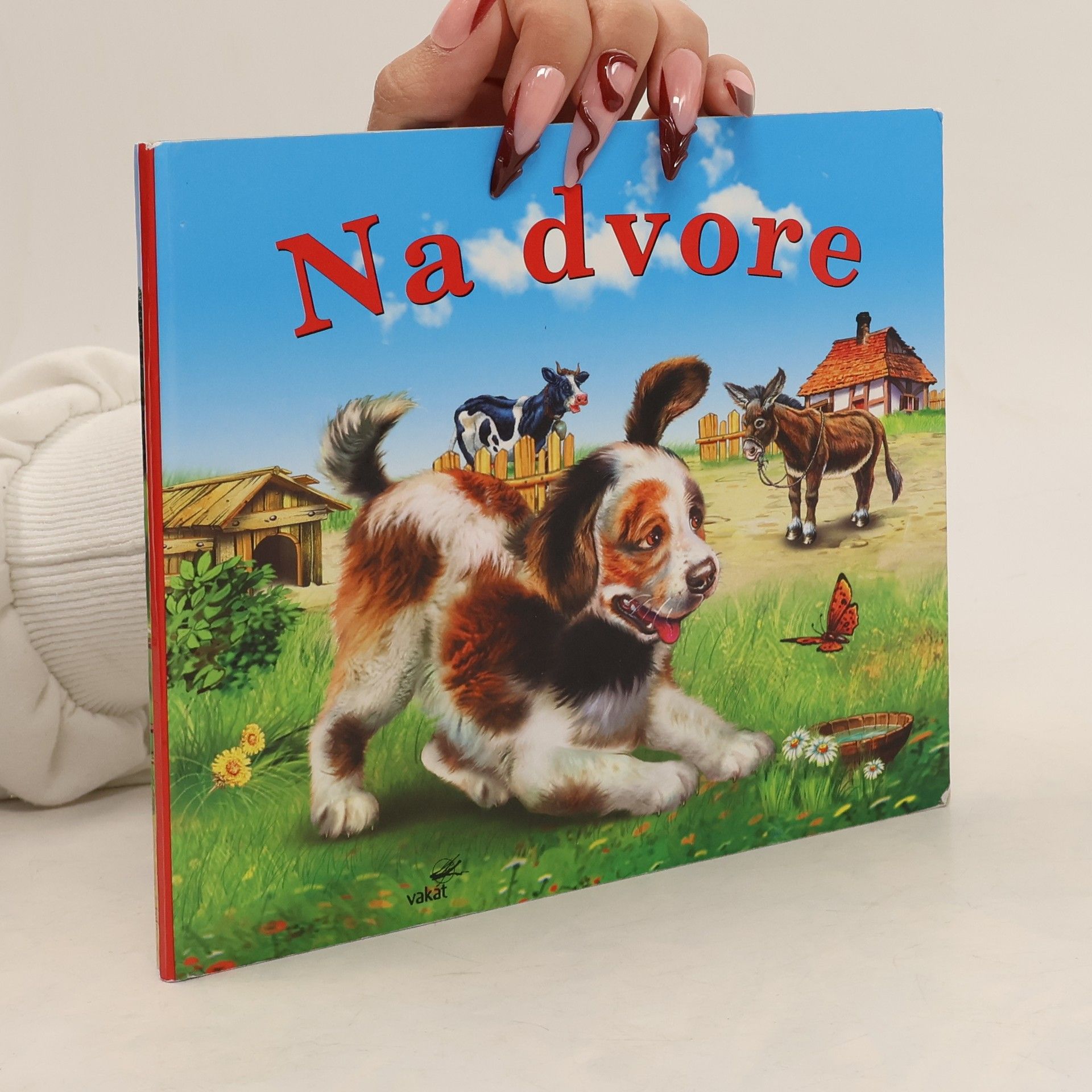 Mária Štefánková Na dvore