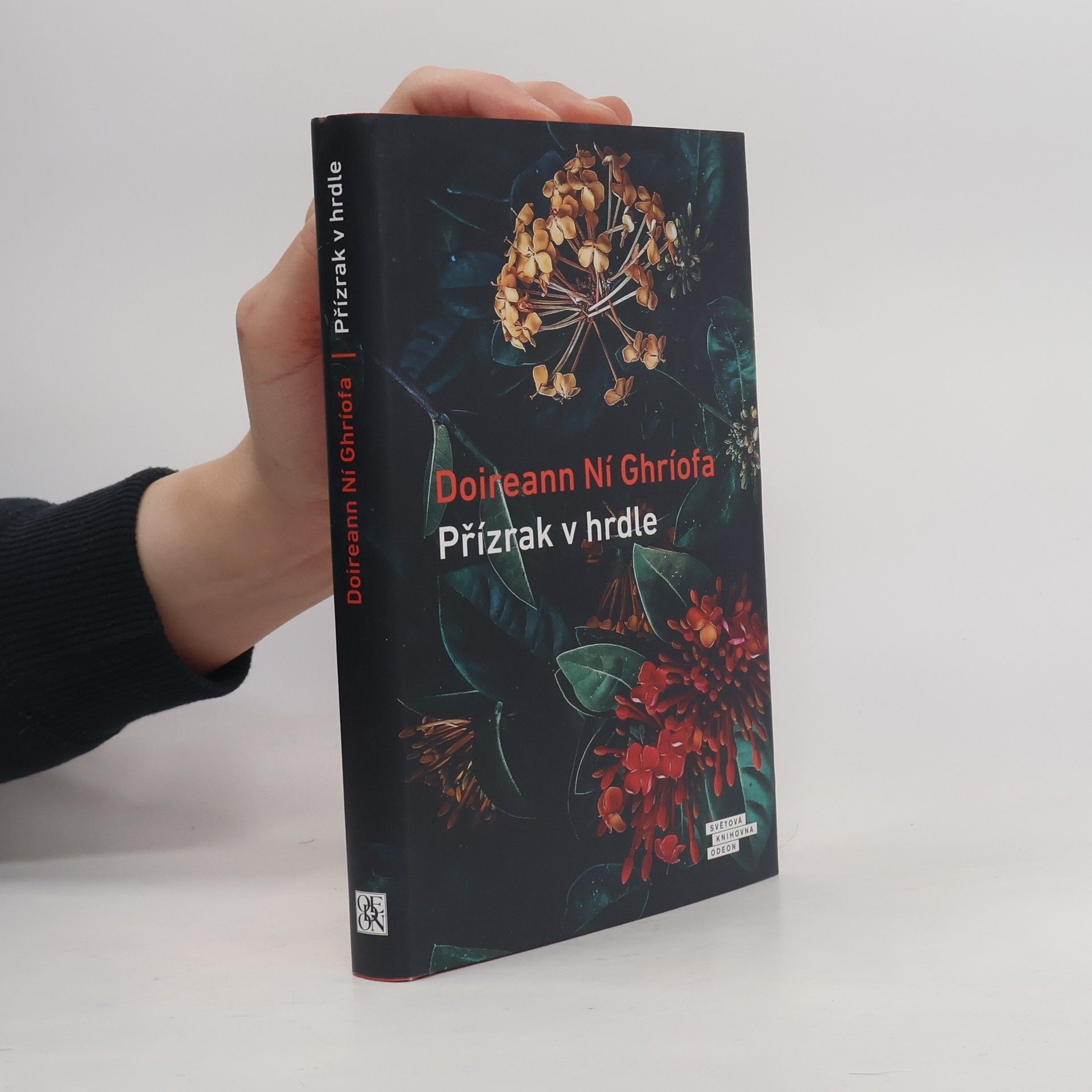 Doireann Ní Ghríofa Přízrak v hrdle