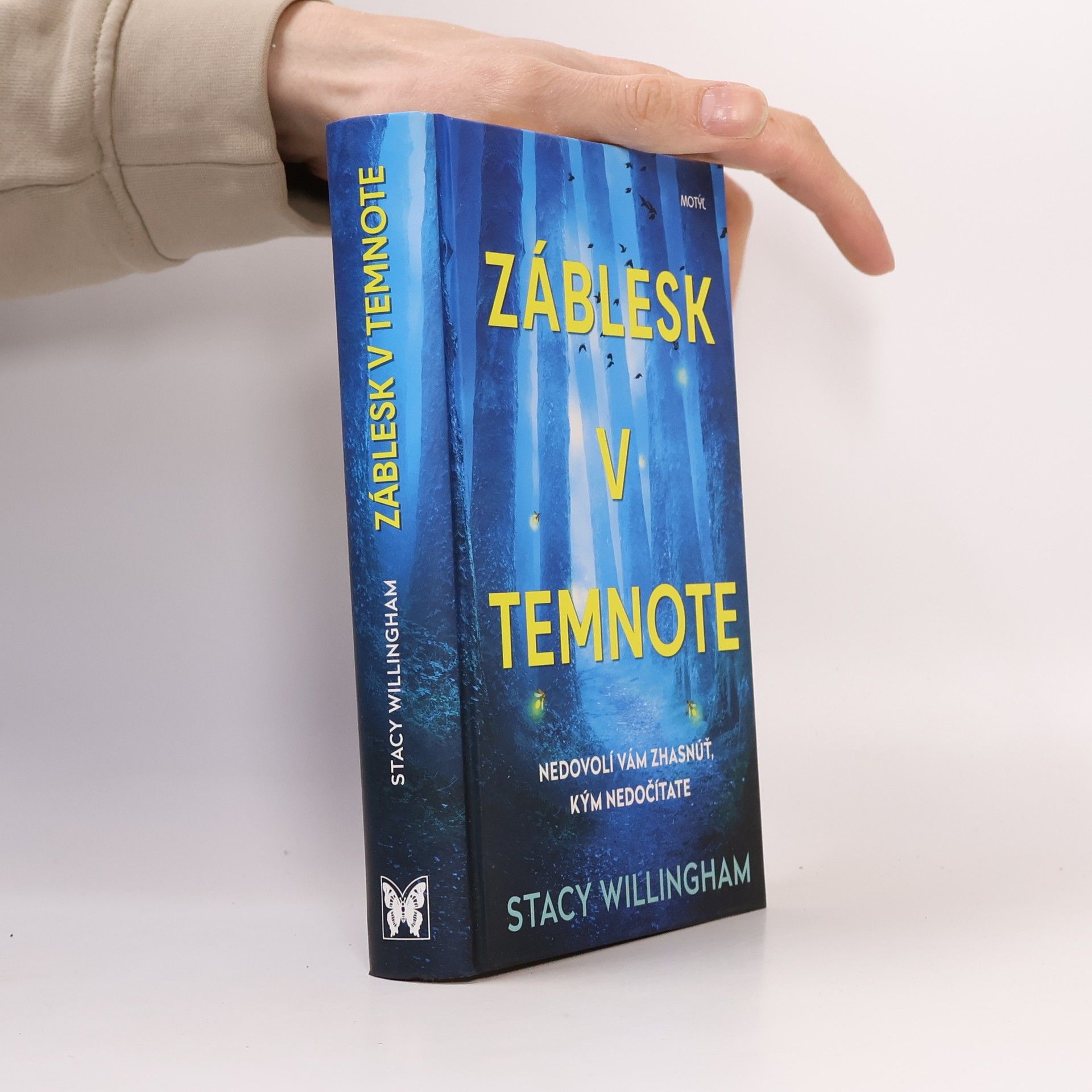 Stacy Willingham Záblesk v temnote