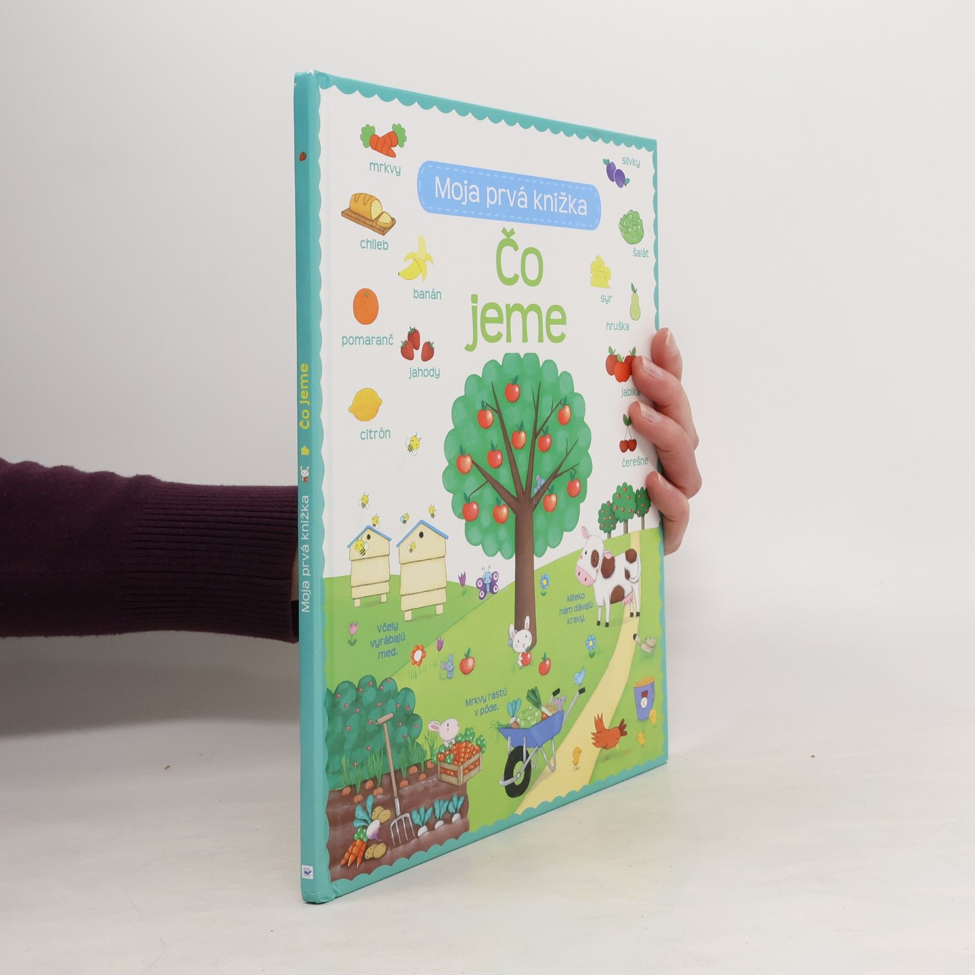 Collectif d'auteurs Čo jeme