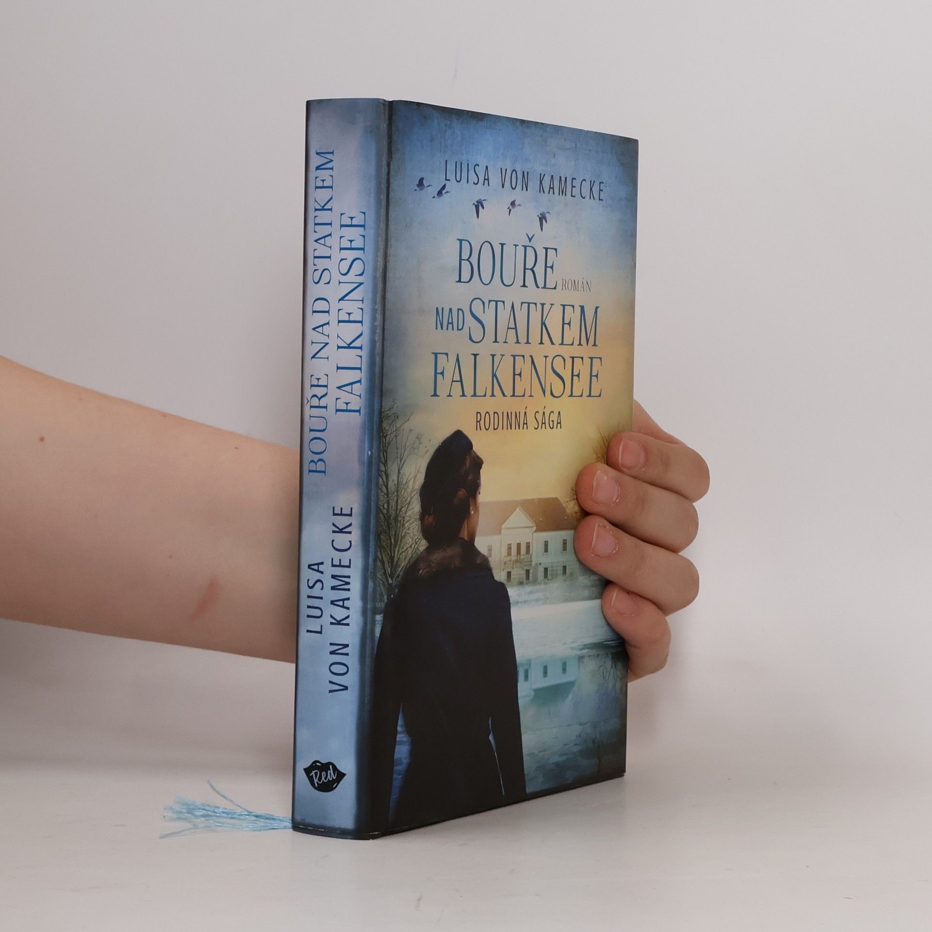 Luisa von Kamecke Bouře nad statkem Falkensee