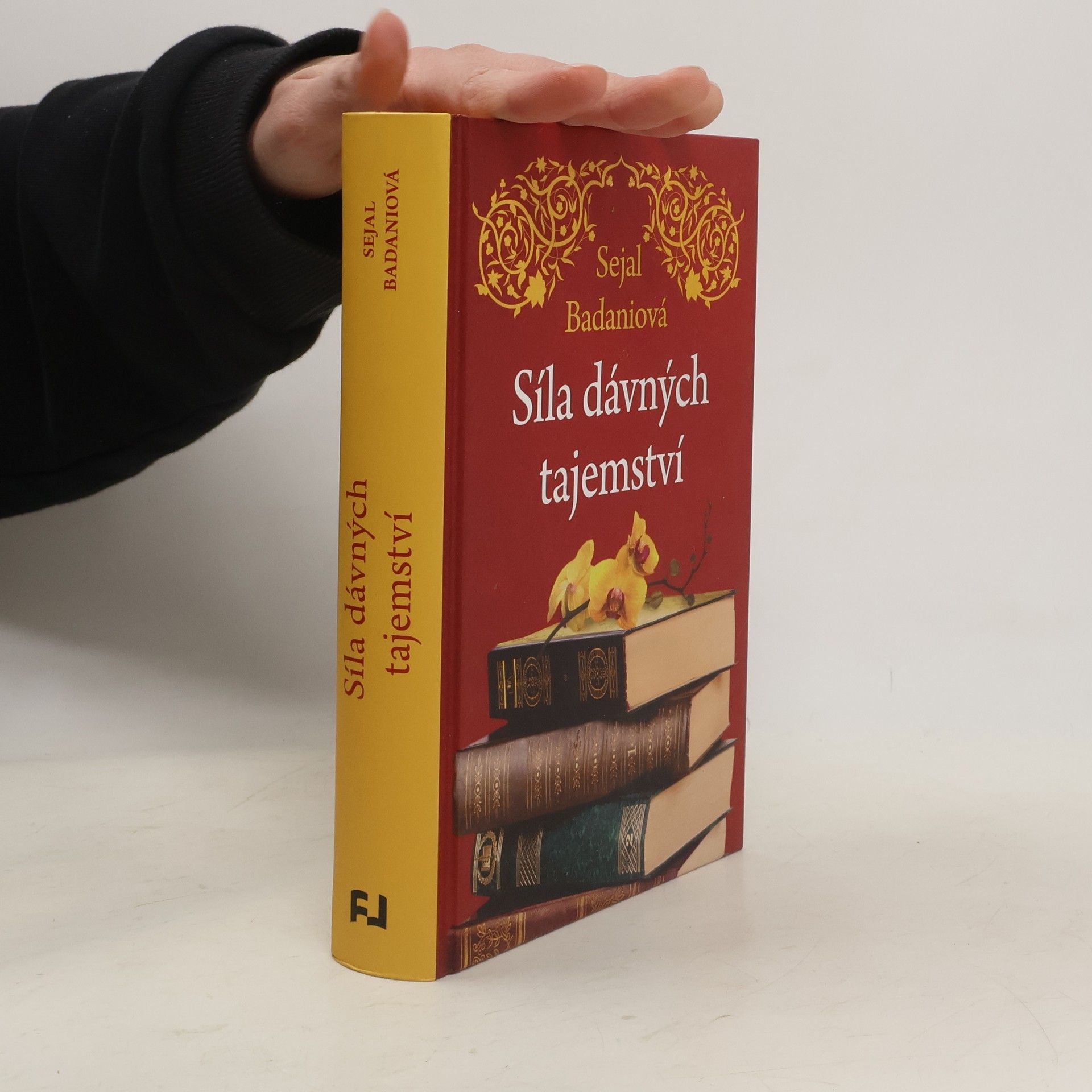 Sejal Badani Síla dávných tajemství