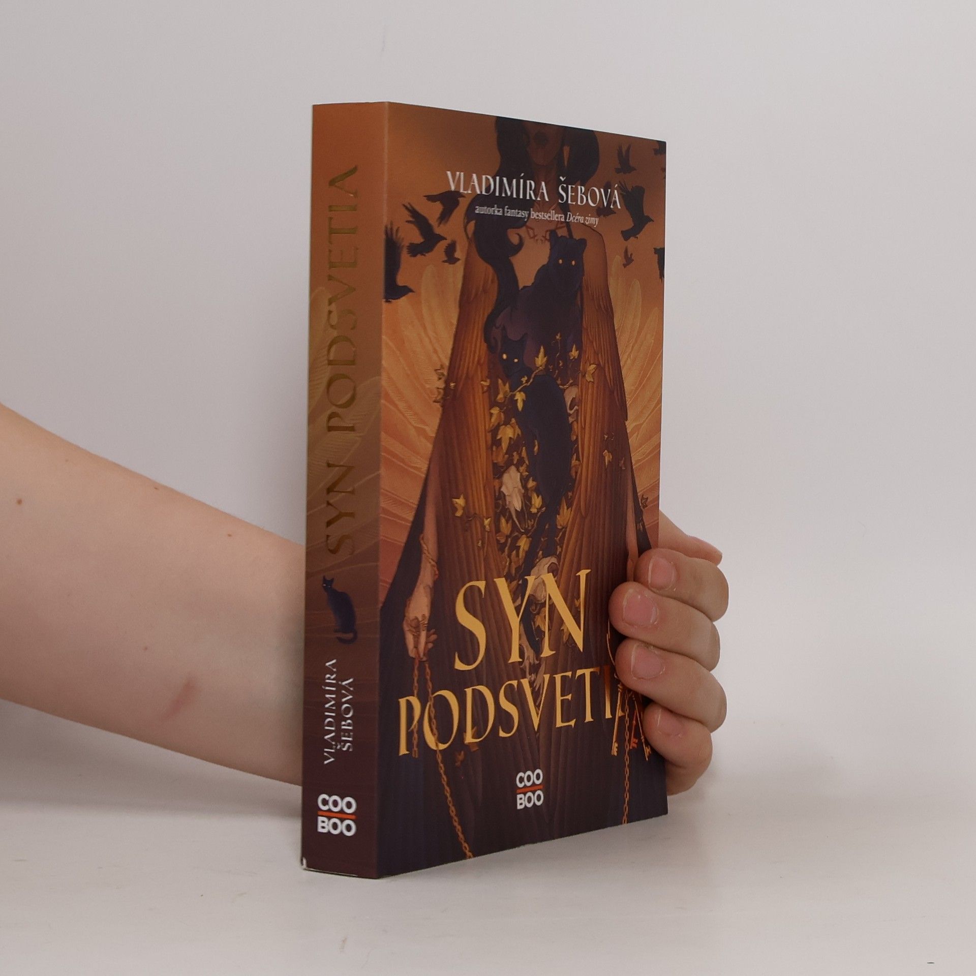 Vladimíra Šebová Syn podsvetia