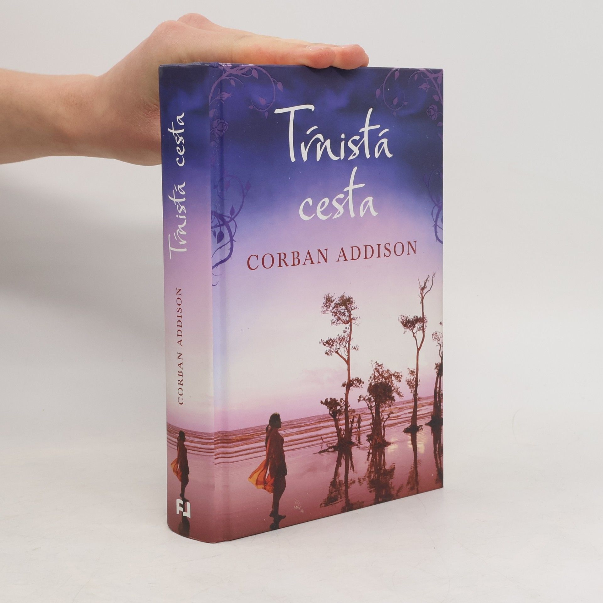 Corban Addison Tŕnistá cesta