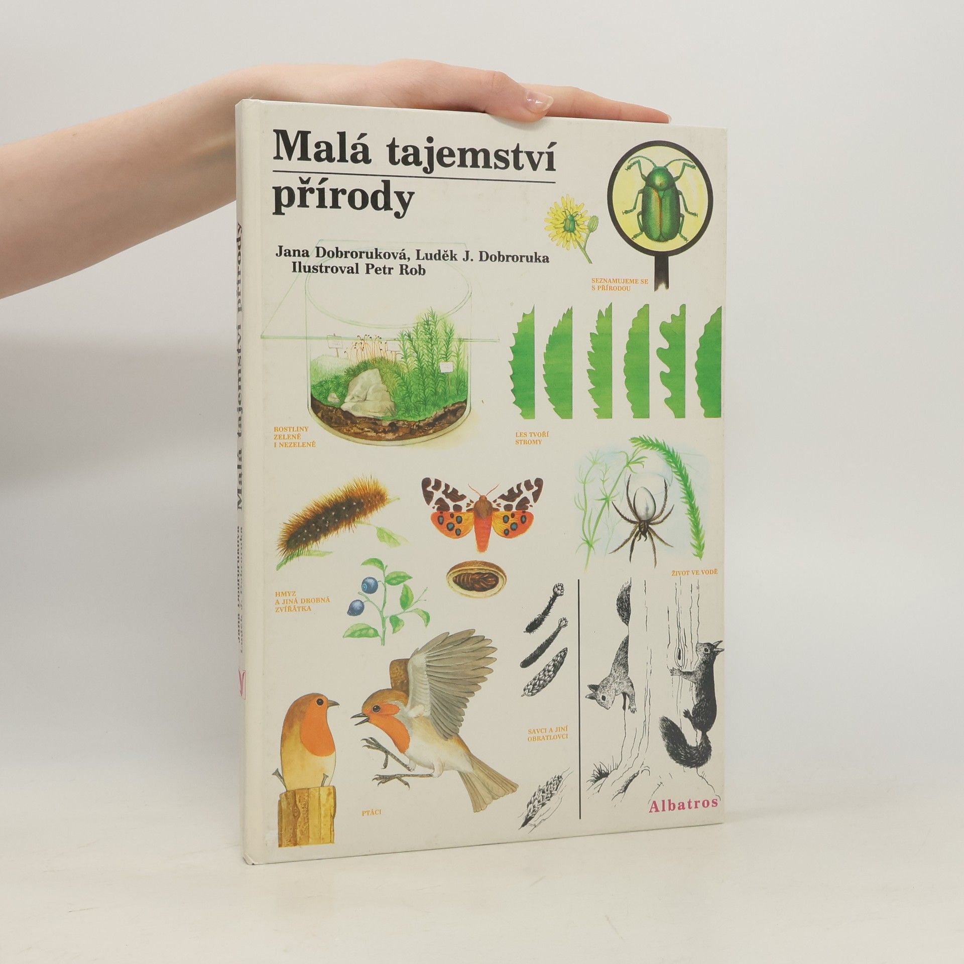 Malá tajemství přírody