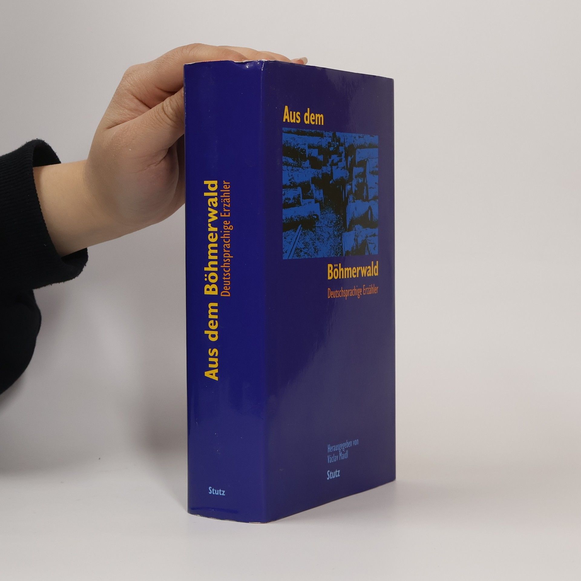 Václav Maidl Aus dem Böhmerwald : deutschsprachige Erzähler
