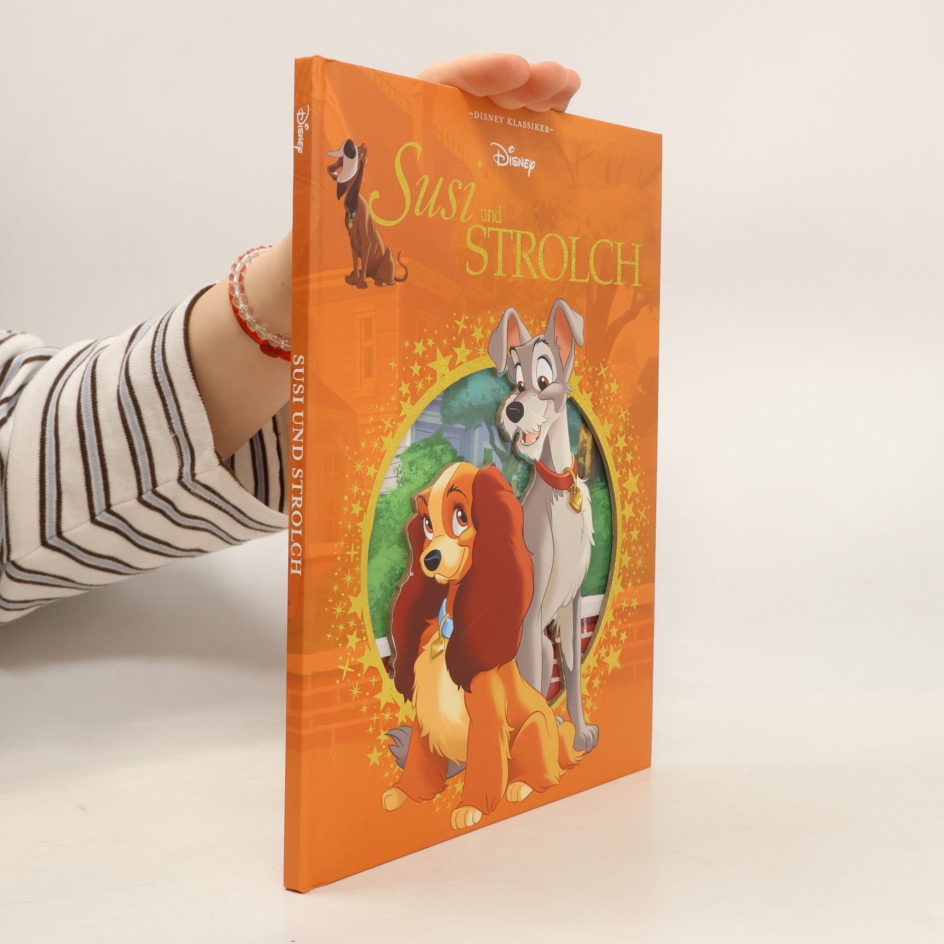 Kolektiv autorů Susi und Strolch