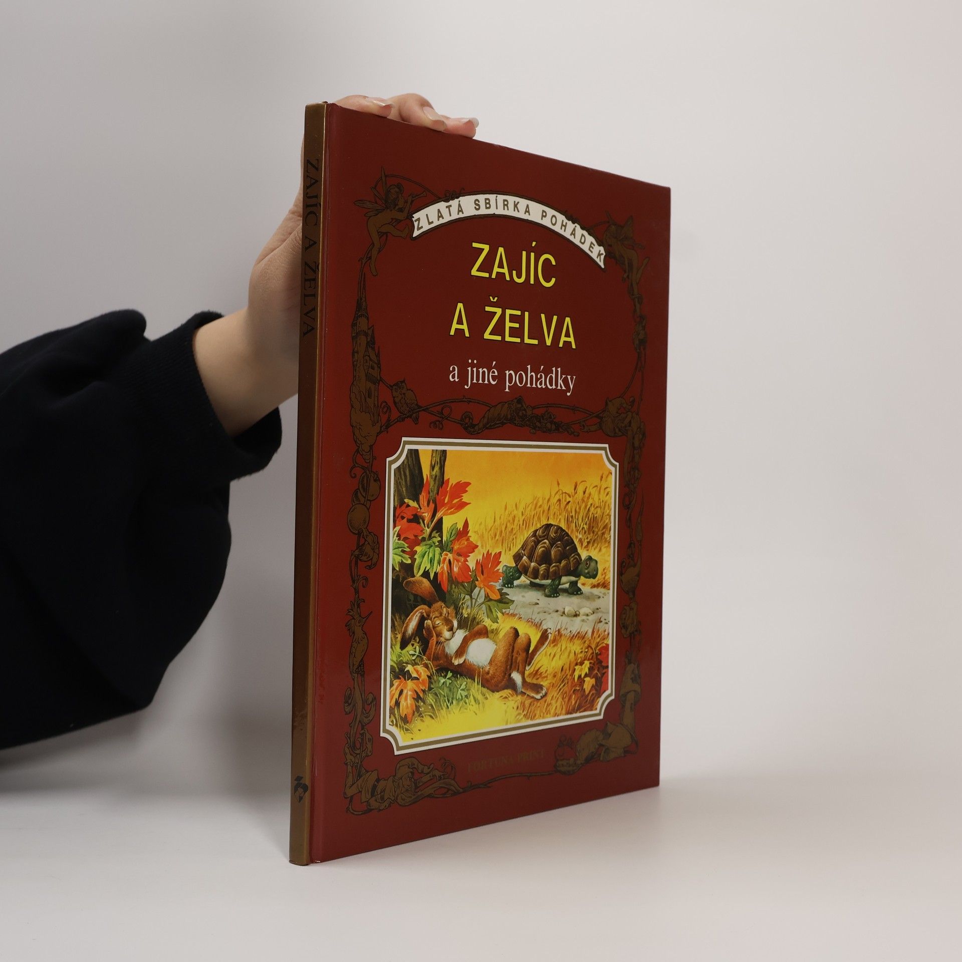 Kolektiv autorů Zajíc a želva a jiné pohádky