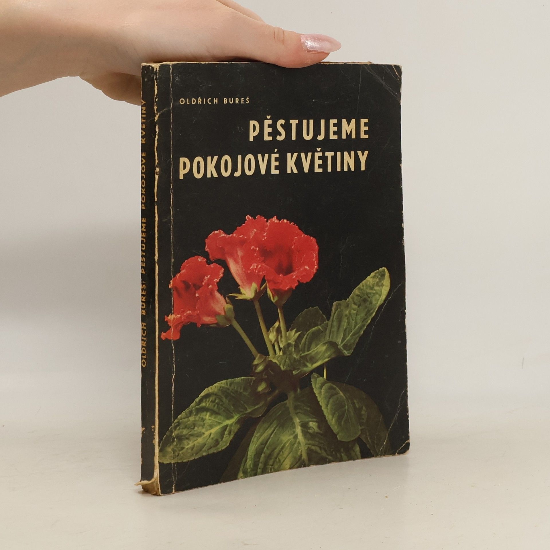 Oldřich Bureš Pěstujeme pokojové květiny