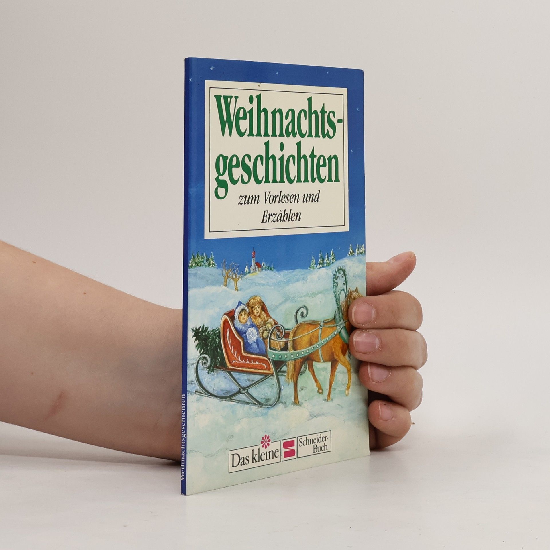 Autorenkollektiv Weihnachtsgeschichten zum Vorlesen und Erzählen