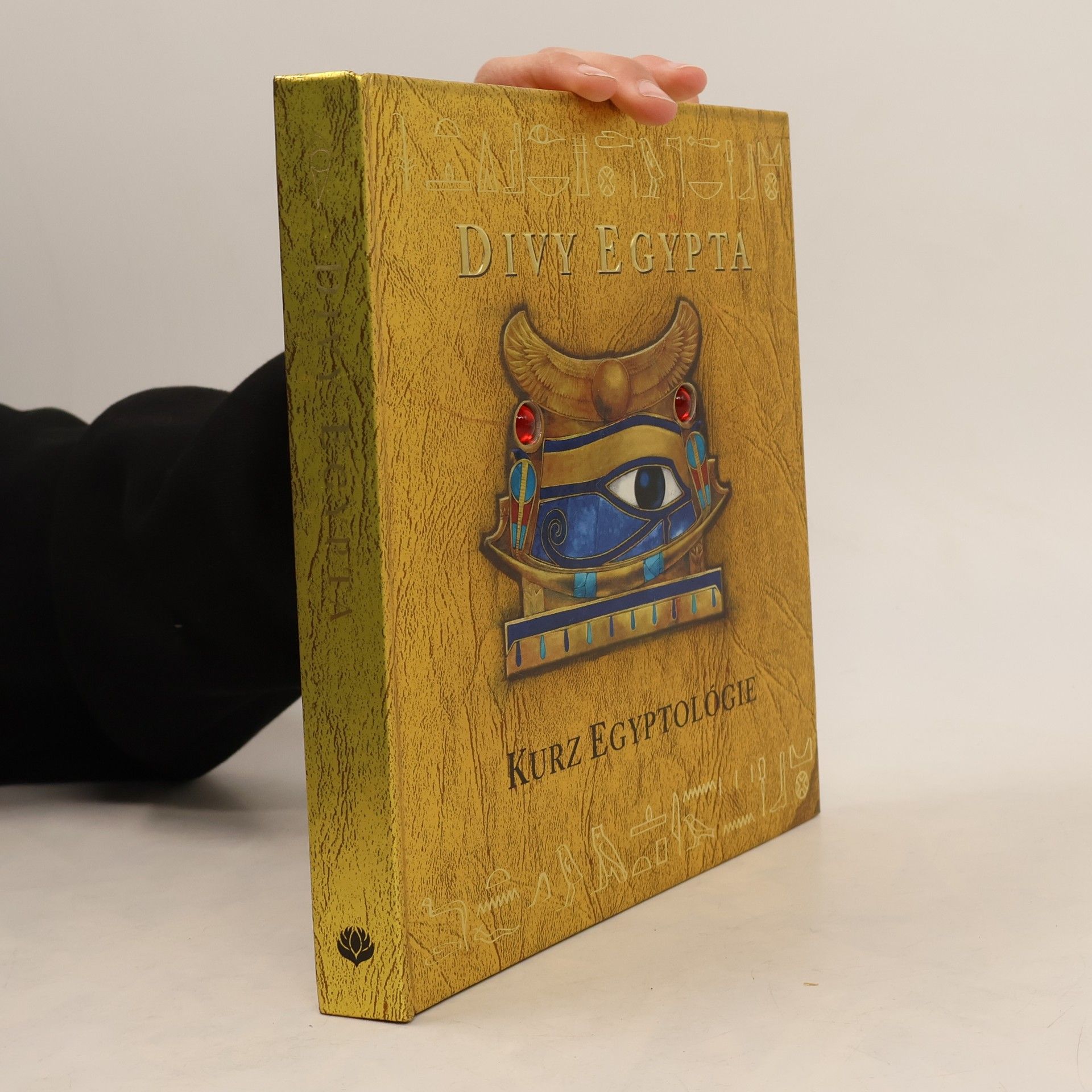 Dugald Steer Divy Egypta