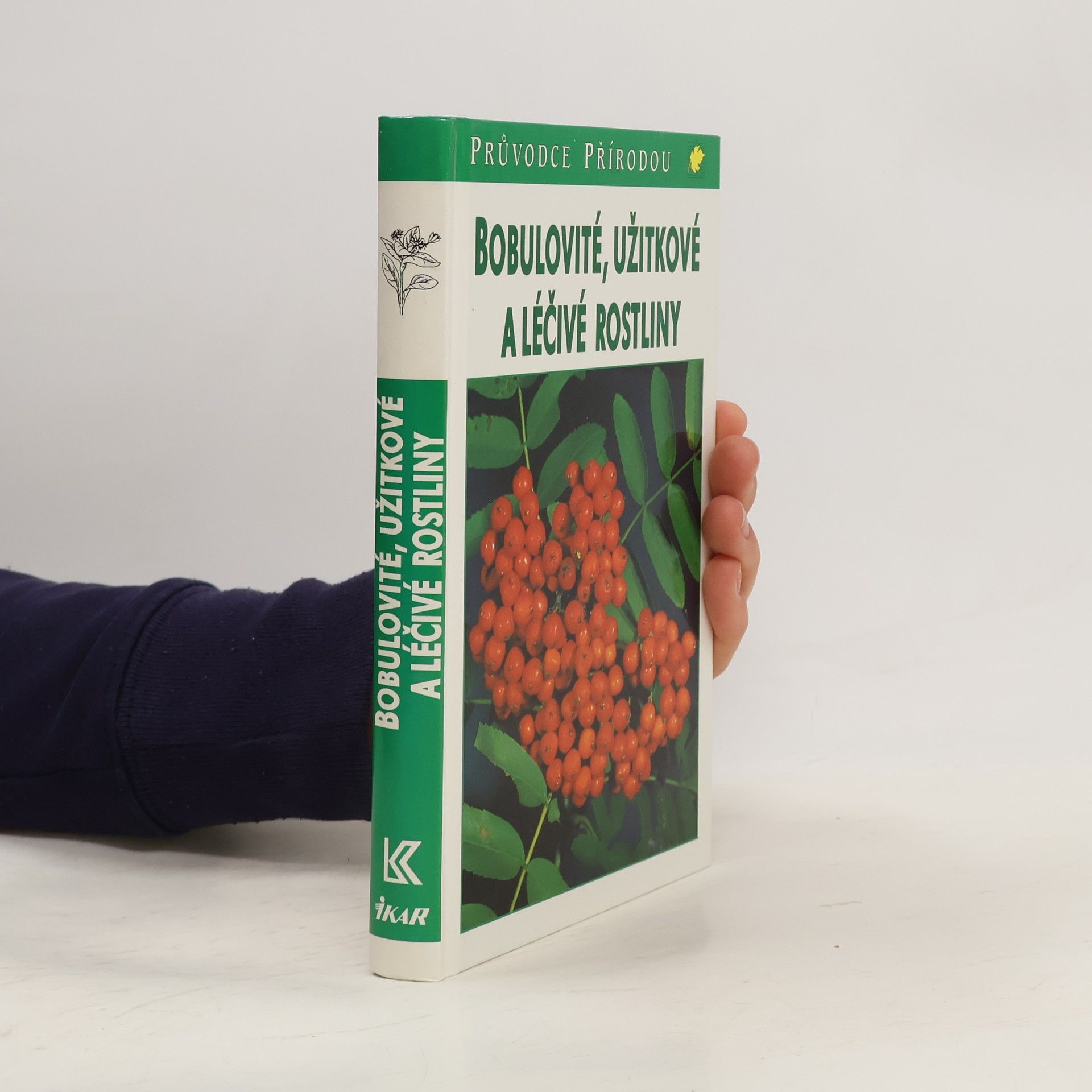 Bobulovité, užitkové a léčivé rostliny