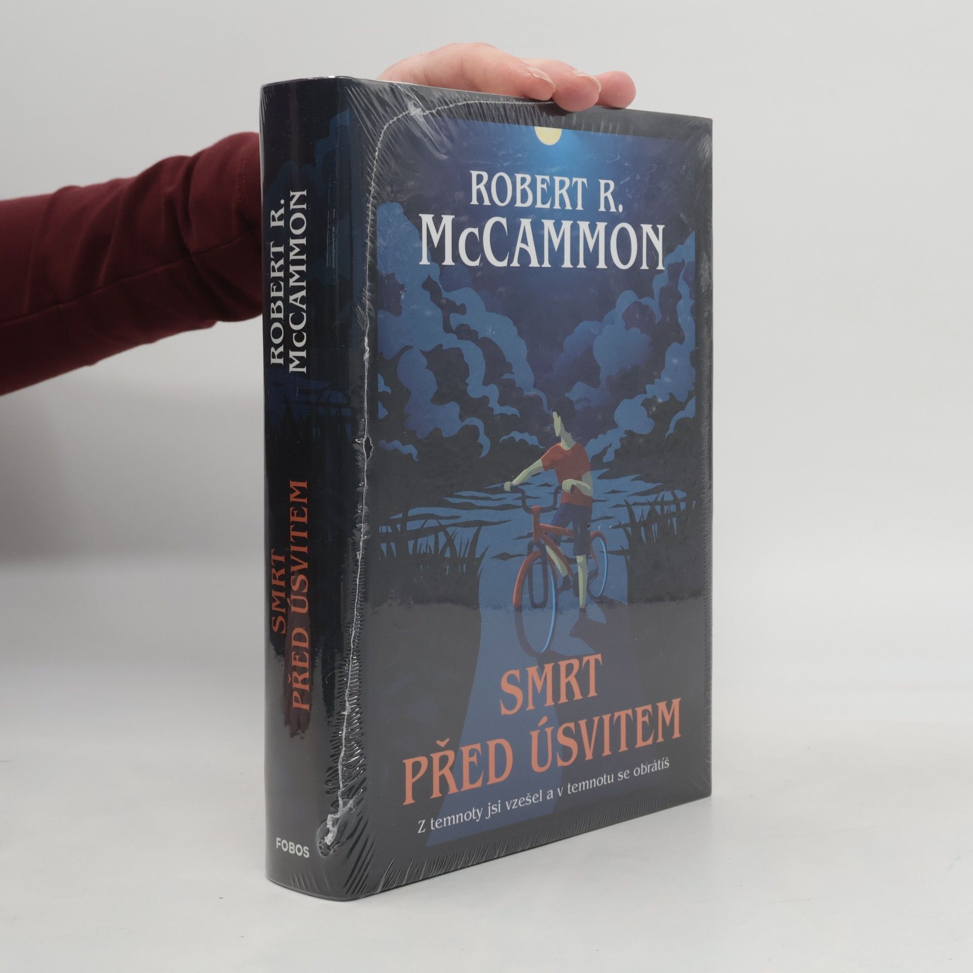 Robert R. McCammon Smrt před úsvitem