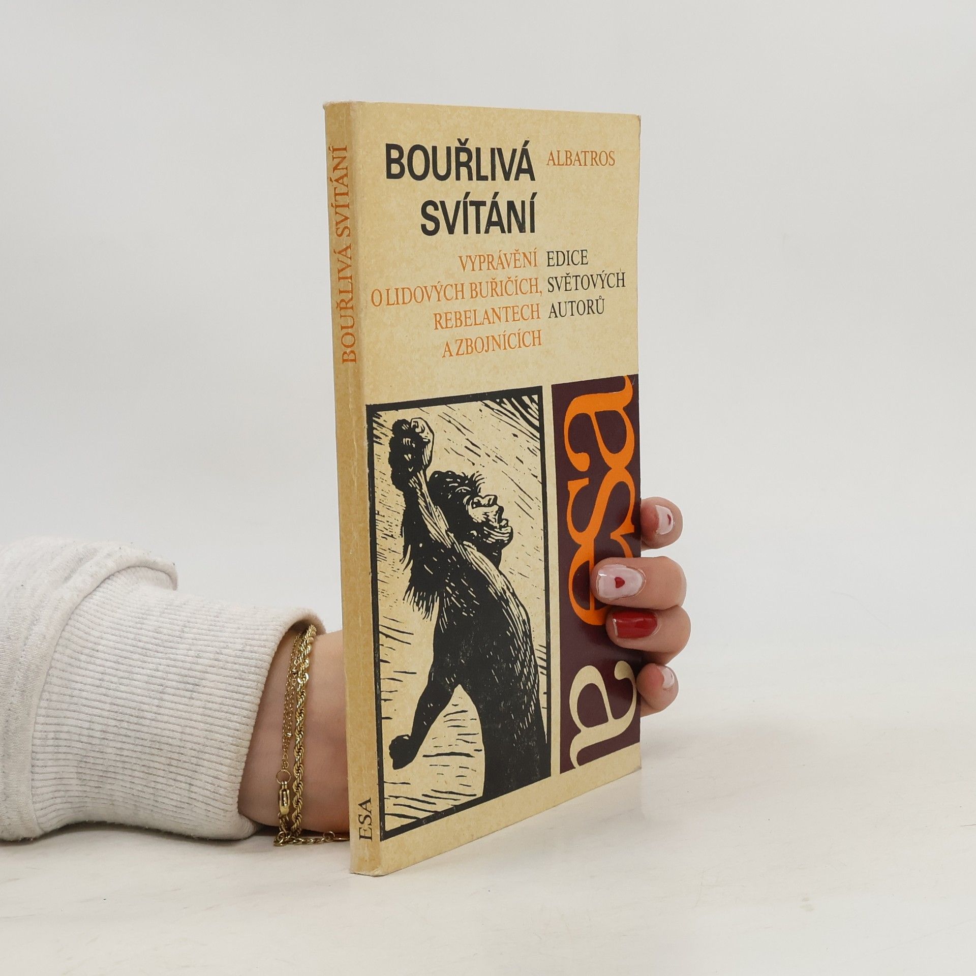 Various authors Bouřlivá svítání