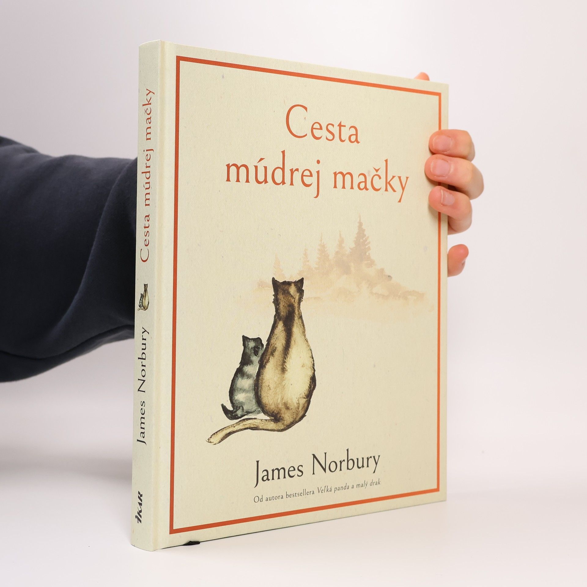 James Norbury Cesta múdrej mačky