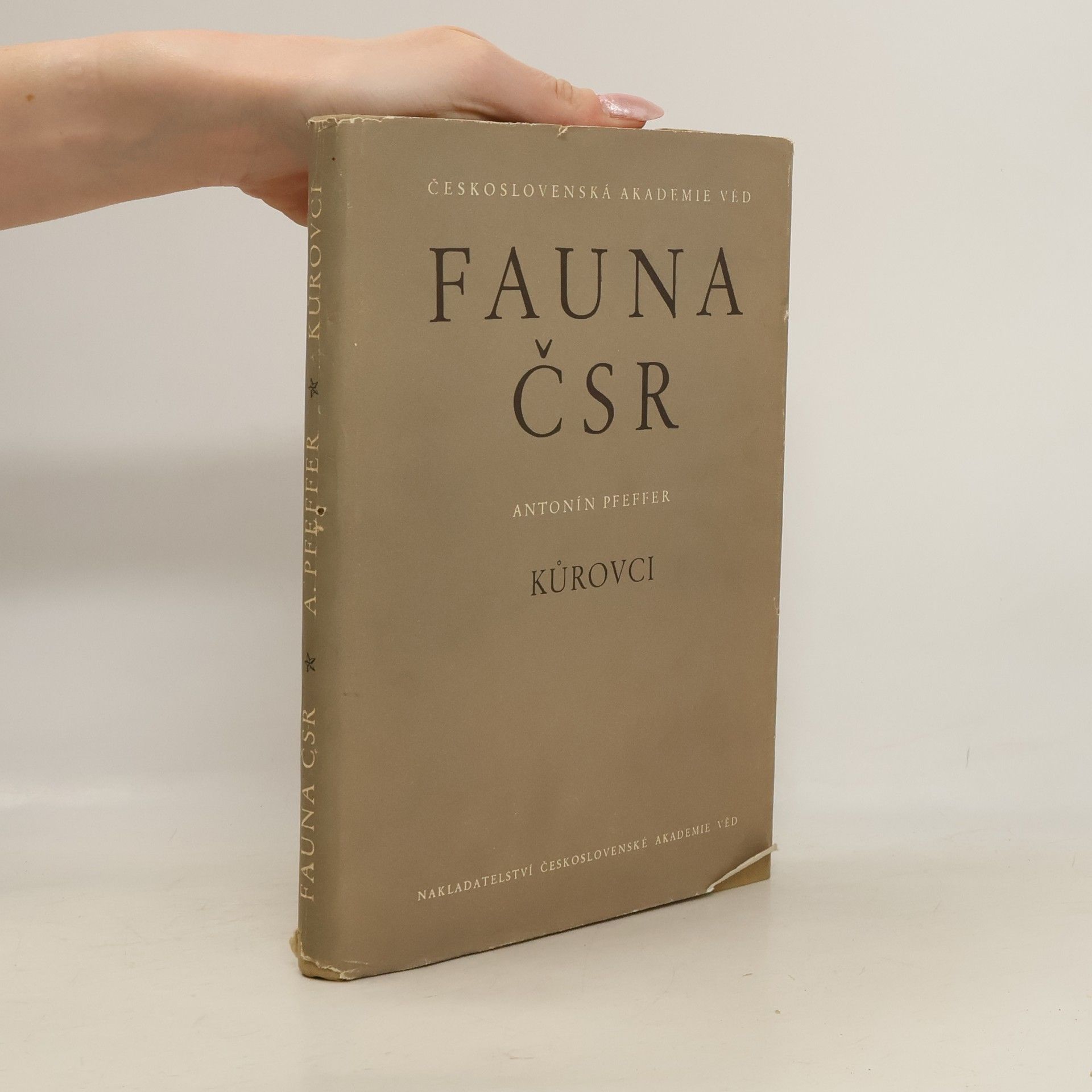 Antonín Pfeffer Fauna ČSR: Kůrovci