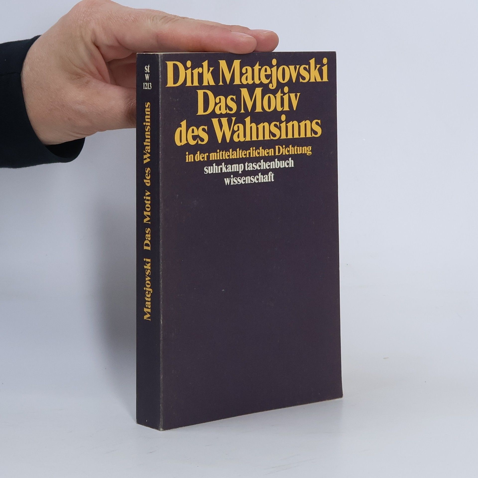 Dirk Matejovski Das Motiv des Wahnsinns in der mittelalterlichen Dichtung