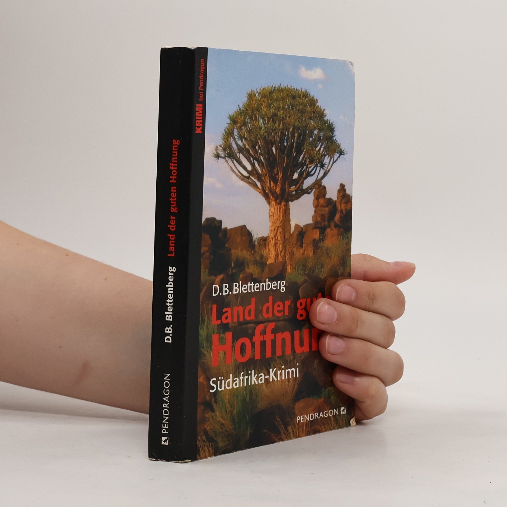 Detlef Bernd Blettenberg Land der guten Hoffnung