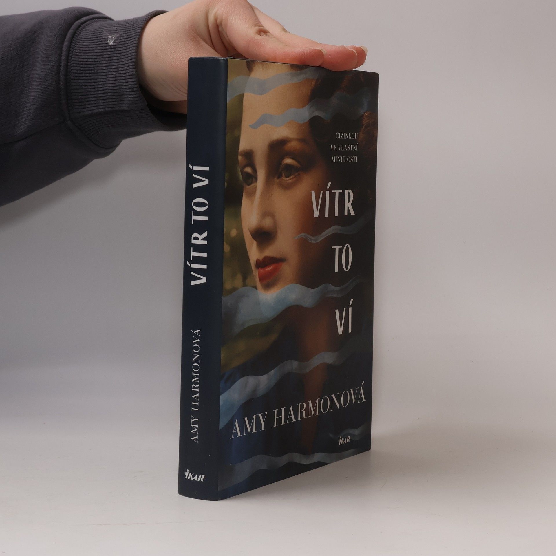Amy Harmon Vítr to ví