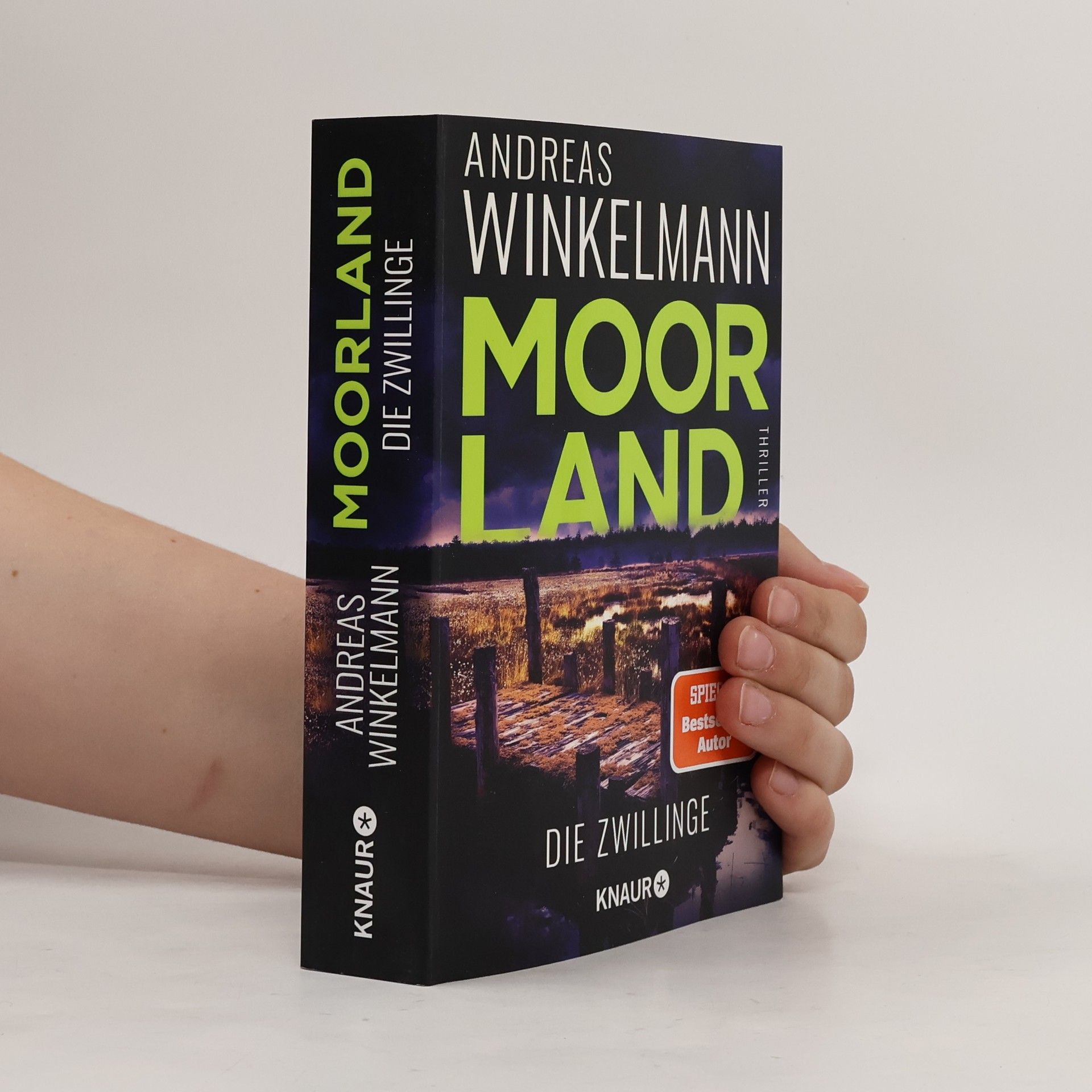 Hendrik Winter Moorland. Die Zwillinge