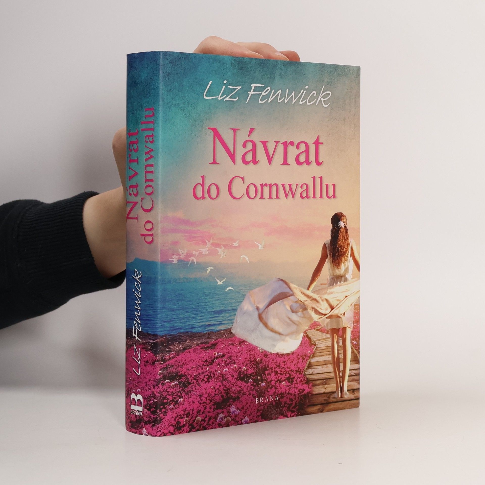 Liz Fenwick Návrat do Cornwallu